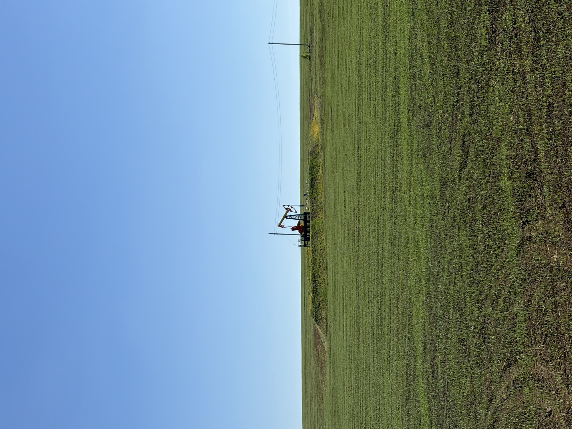 A horizontal, eye-level shot depicts a rural scene under a clear blue sky. The left half of the image is dominated by the sky, while the right half showcases a large, green field.
An oil pumpjack is positioned in the center, slightly offset to the right, adjacent to the edge of the field. A power line runs horizontally across the image, supported by poles on either side of the field. The field displays row-like patterns, suggesting agricultural cultivation. A path or trail is visible near the edge of the field.
The location is likely in or near Zvyozdny, Russia.