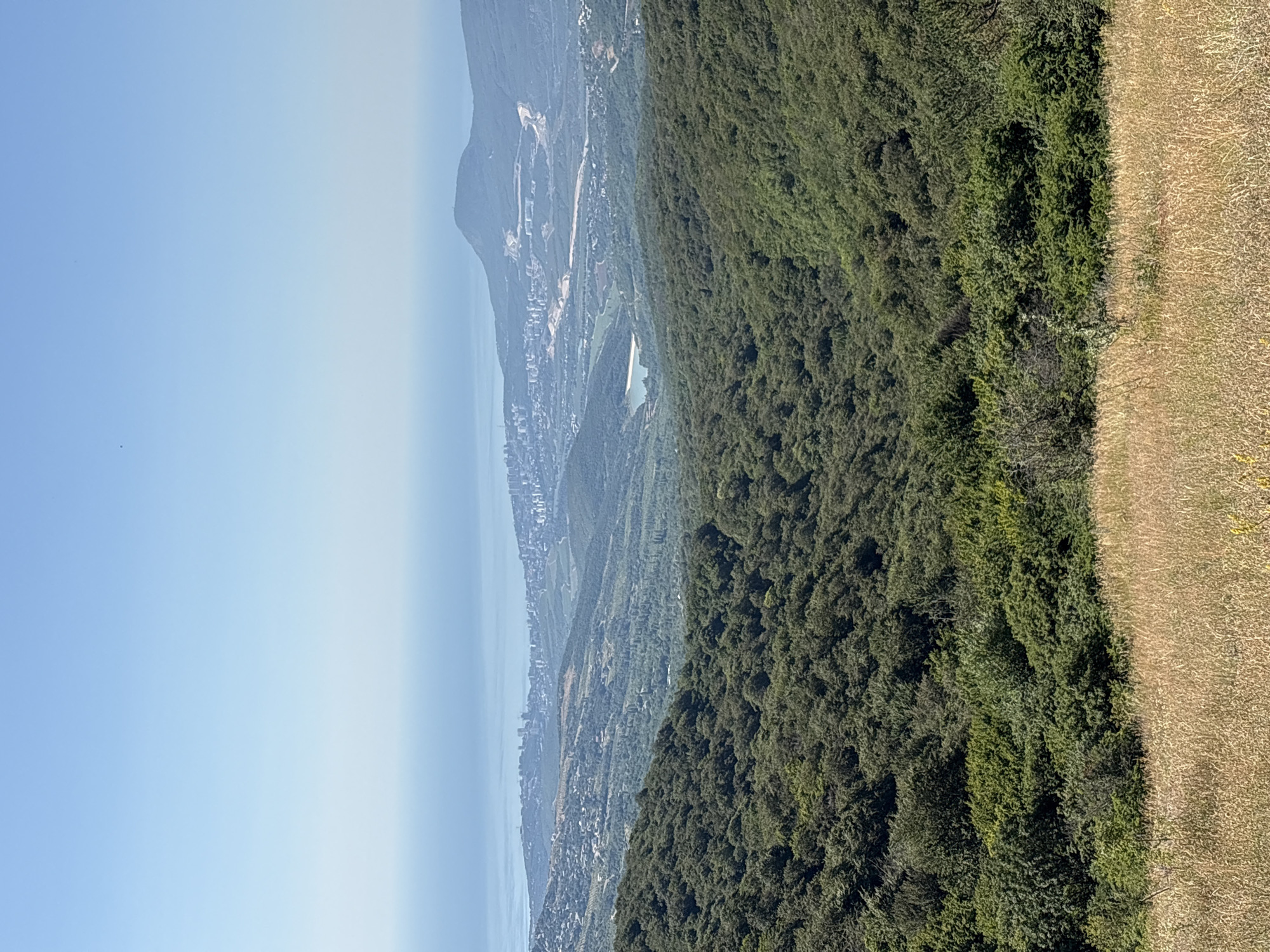 An outdoor, high-angle, full shot captures a vast landscape from a grassy hilltop looking out over a sprawling valley towards a distant city and the sea. The sky is a clear, pale blue with a gradient fading to white at the horizon. In the foreground, dry, golden grass covers the ground, giving way to a dense, dark green forest that blankets the slopes of rolling hills.
The valley unfolds in layers, with the forest continuing to dominate the middle ground. A small, tranquil body of water, likely a lake or reservoir, is visible nestled within the valley. Beyond the immediate greenery, the landscape transitions to reveal a city with numerous buildings, appearing as a collection of white and light-colored structures. The city stretches along the coastline.
Further in the distance, the sea is a hazy, muted blue, blending softly with the pale sky at the horizon. A large, dark mountain looms on the right side of the frame, its peak rounded and its slopes partially covered in greenery and evidence of construction or roadwork. The overall impression is one of natural beauty interrupted by human development, with the city and the sea serving as a distant backdrop to the lush, forested terrain. The time of day appears to be daytime, under bright, clear conditions.