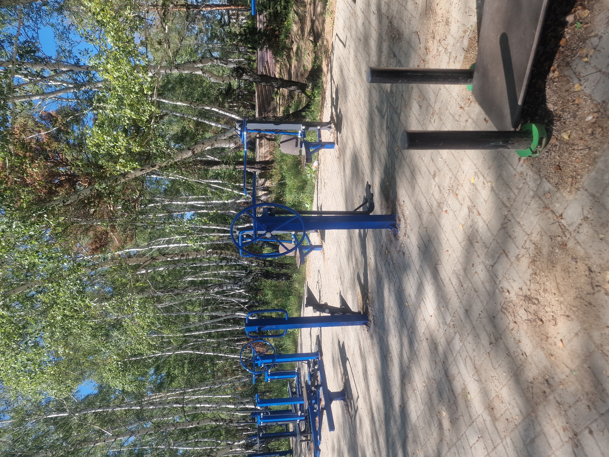 This is a full-shot, eye-level photograph of an outdoor exercise park located in Makinsk, Kazakhstan. The park is situated in a wooded area with many birch trees. The ground is paved with interlocking bricks, and some dry leaves and dirt are scattered on the surface. Several blue metal exercise machines are visible, including what appear to be lat pulldown machines and stationary bikes. In the foreground, there is a dark colored platform with two black upright poles. The sky is clear and blue. No people are present in the image. The lighting suggests it is daytime.