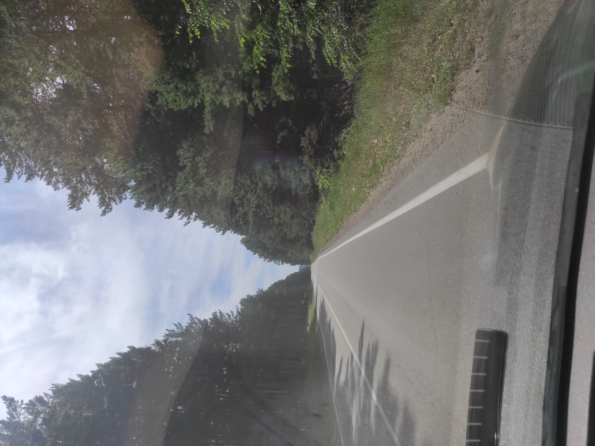 The image shows a view from a vehicle traveling on a paved road through a forest. Tall pine trees line both sides of the road, with dense foliage. The road has a white line marking its edge. The sky is partly cloudy with bright sunlight. There are no people or animals visible in the image. The scene appears to be an exterior, daytime shot of a rural or forested area, likely in or near Sosnovka, Russia, given the context. The presence of a road and trees suggests a natural landscape rather than an urban environment within the city limits.