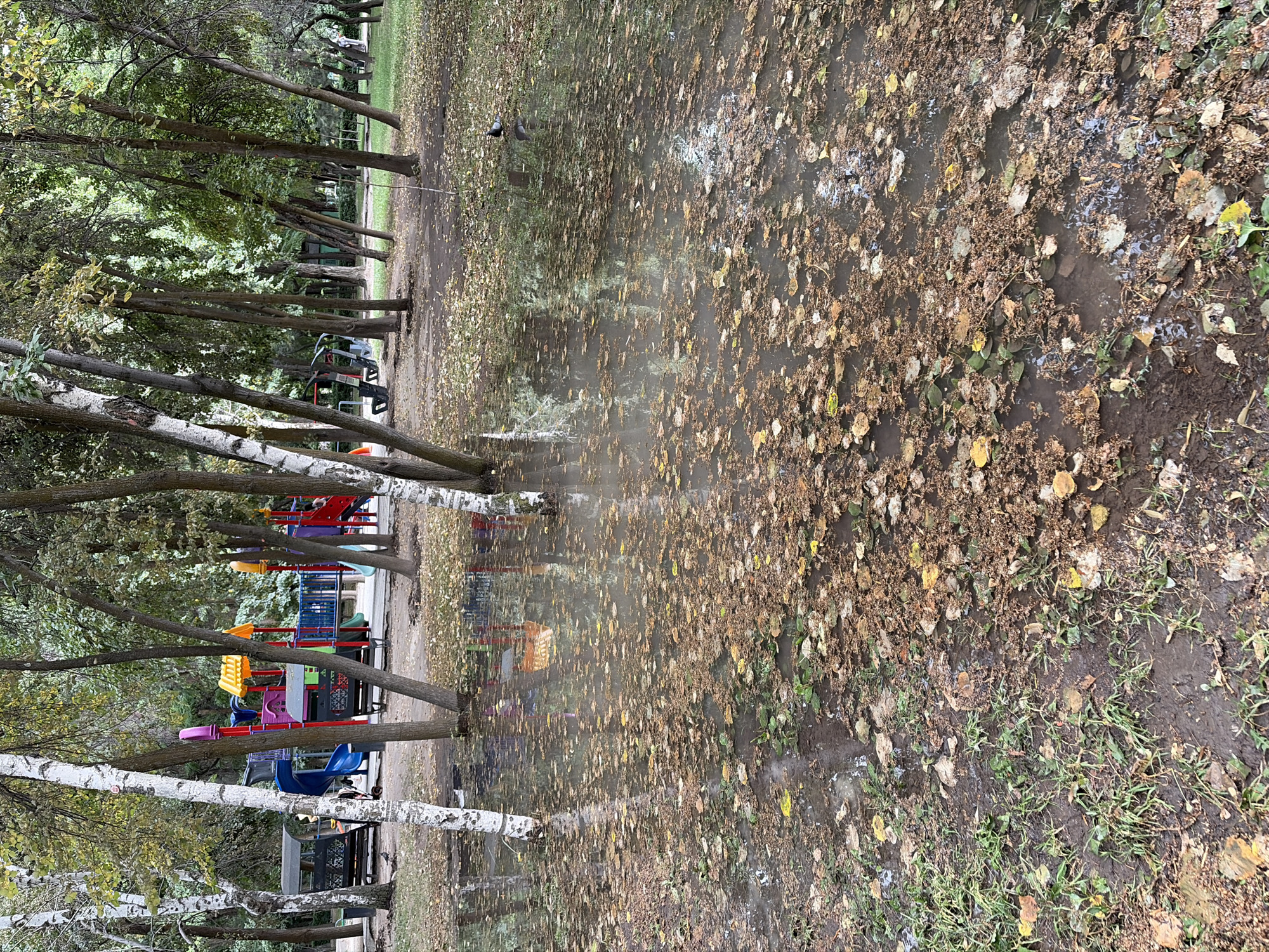 The image depicts a flooded park area with a playground in the background. The ground is covered with standing water, fallen leaves, and patches of grass. The playground features colorful slides, climbing structures, and swings. Several trees with slender trunks and sparse foliage are scattered throughout the scene. The overall impression is one of a natural setting that has been affected by recent precipitation, creating a somewhat melancholic atmosphere. The presence of the playground suggests it is a public space for recreation. A solitary bird is visible in the middle right of the frame standing in the shallow water.