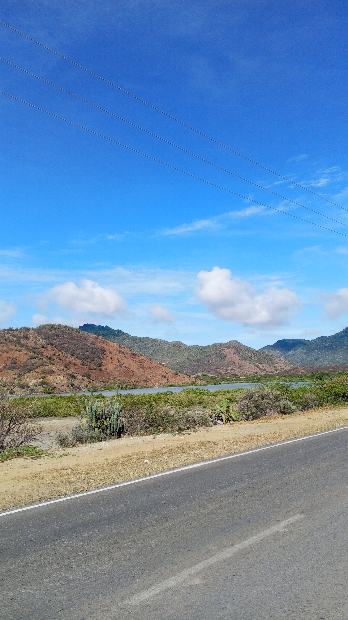 The image depicts a landscape in Pedro González, Venezuela. In the foreground is a gray asphalt road with a white line marking the edge. Beyond the road, there is a dry, sandy verge transitioning into vegetation consisting of low-lying bushes and cacti. Further back, there is a body of water, likely a lagoon or lake, surrounded by dense greenery. The background features a range of hills with varying coloration, predominantly brown and green, under a blue sky with scattered white clouds. High-tension power lines cut across the upper portion of the frame.
