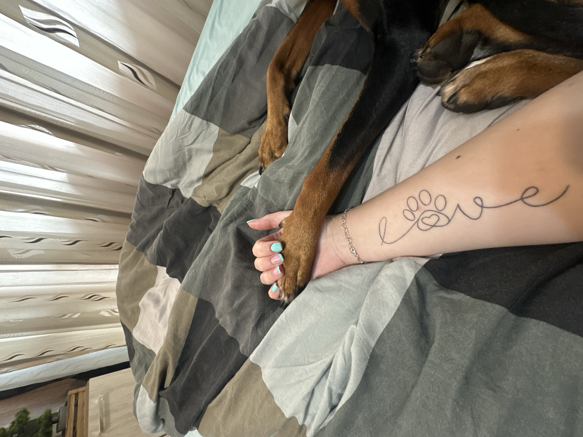 A tan-skinned person with light blue nails is holding the paw of a brown and black dog. The person has a tattoo on their inner forearm that says "love" with a paw print in place of the "o." The dog is lying on a bed with a gray and tan patterned quilt. The background is a partially obscured window. It is not possible to determine if the image was taken in Varna, Bulgaria.