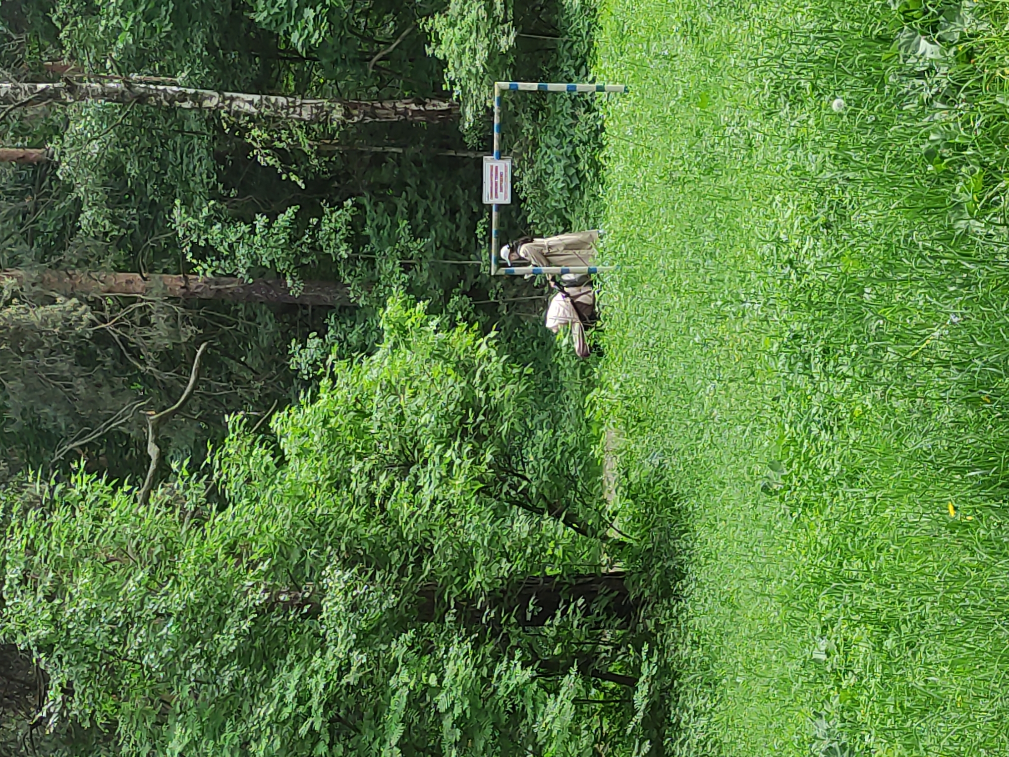 The image depicts a verdant outdoor setting, possibly a park or forest edge. A person is seen near a blue and white striped barrier, potentially a boundary marker, with a sign attached. The individual is dressed in light-colored clothing and appears to be carrying a bag or backpack. To the right of the frame, there is dense, tall green grass and vegetation, while on the left, trees with lush green foliage dominate the view. The lighting suggests a sunny day. The scene is located in Moscow, Russia.