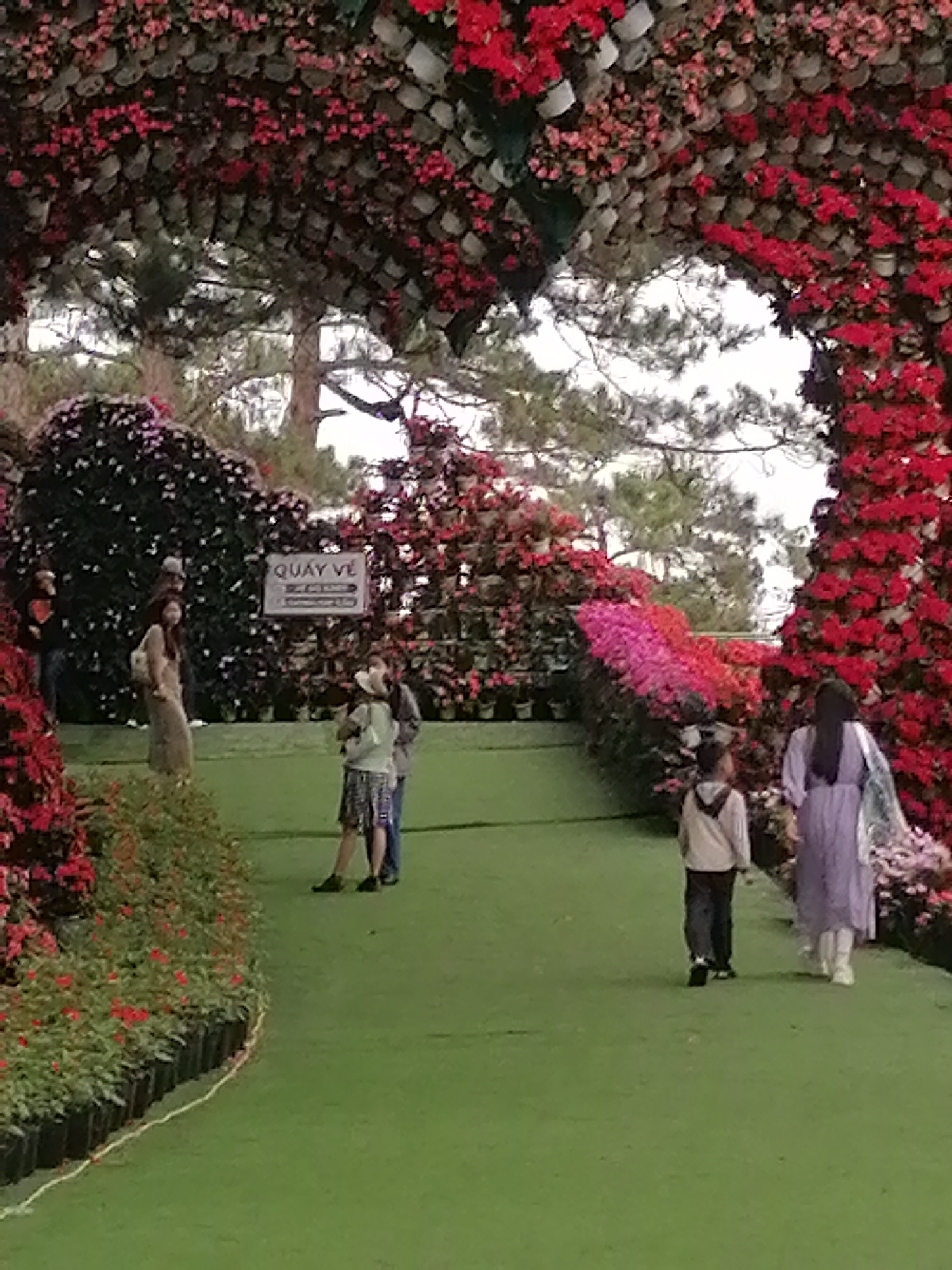A medium shot captures a scene within a floral garden, likely in Da Lat, Vietnam, as evidenced by the local signage. Dominating the foreground is an archway formed from potted red flowers, creating a heart-shaped opening towards the center of the frame. A path covered in green artificial turf extends from the foreground through the archway.
On the left side of the path, various individuals can be observed. Near the archway, a group of three people stands beside a black flowerbed, looking towards the left side of the path. Further back, two more figures stand beside a larger dark-green bush with light-purple flowers, near a sign with Vietnamese text.
On the right side of the path, a woman and child walk away from the viewer, down the path towards the heart-shaped archway. The woman wears a long light-purple dress, with a light-blue bag hanging from her left shoulder, and the child wears a grey jacket and dark-grey pants.
The garden is filled with a variety of trees and plant life, suggesting a well-maintained park. The overall setting is likely a tourist spot or a public garden.