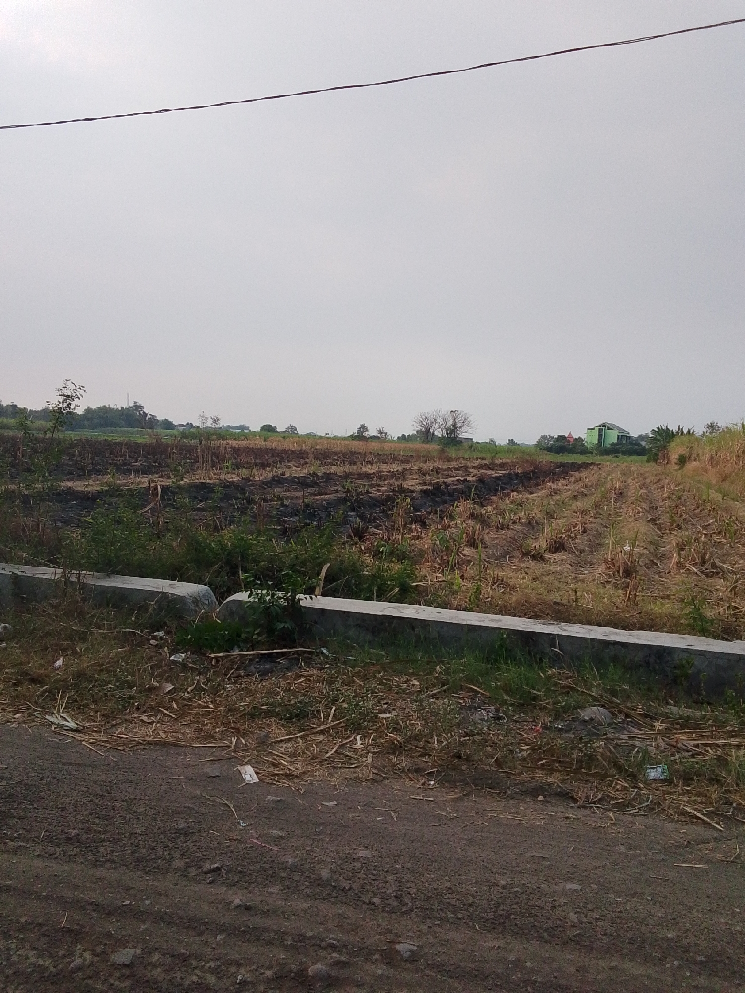 The image shows a harvested field in Bulurejo, Indonesia. The field is barren, with stubble from a previous crop visible. There is a dirt road in the foreground, and a concrete barrier separates the road from the field. In the background, there are trees and a green building. The sky is overcast.