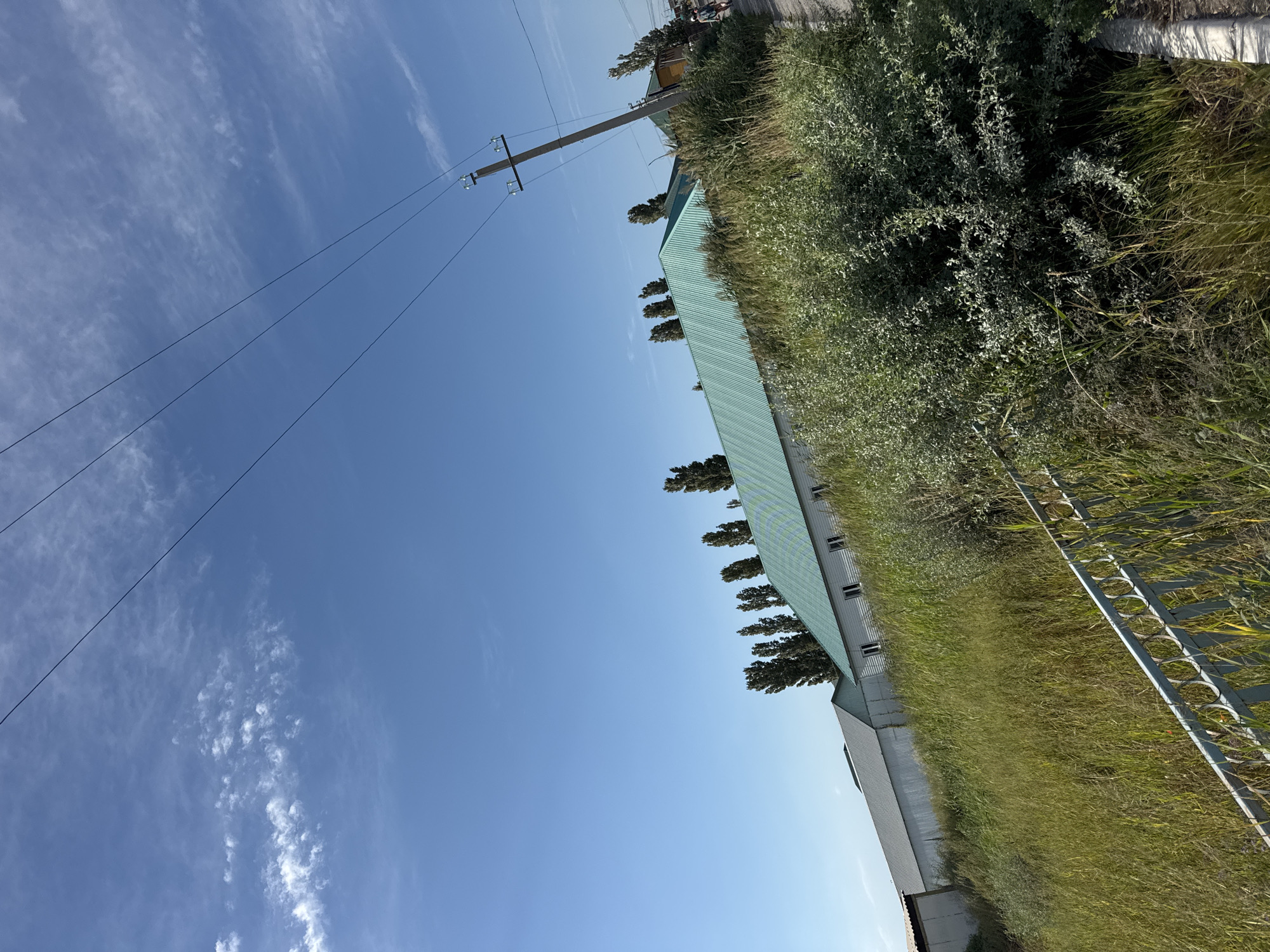 In Zharbulak, Kazakhstan, this image captures a sunlit day with a clear blue sky dotted with wispy white clouds. Dominating the landscape are several long, low-lying buildings with light-colored walls and green, corrugated metal roofs. Tall, slender trees stand in a row behind the buildings. In the foreground, a dense patch of tall, dry grass and shrubbery lines a pathway. A metal railing with circular cutouts runs diagonally across the lower left of the frame. A concrete utility pole with wires stretches diagonally across the sky. On the right side of the pathway, a person is visible walking away from the camera.