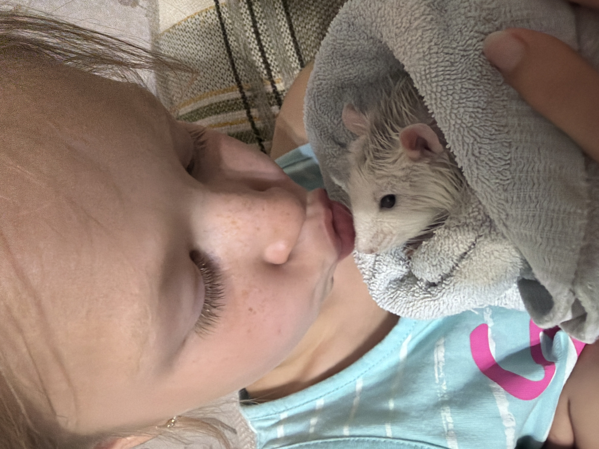 In this close-up, top-down shot, a young child with light skin, freckles, and long eyelashes is seen with their face angled towards a small, wet, white rat. The child's mouth is puckered, appearing to be kissing or nuzzling the rat. The rat, wrapped in a light gray textured towel, has its head and a small portion of its body visible. Its eyes are dark, and its fur is slightly matted, suggesting it might have recently been bathed. The child is wearing a light blue t-shirt with thin white stripes and a large, bright pink curved shape, possibly part of a graphic. The background is a textured surface, possibly a blanket or bedding, with horizontal stripes in neutral tones. The lighting suggests an indoor setting, likely daytime. The overall emotion conveyed is one of affection and tenderness between the child and the pet. There is no visible text in the image.
