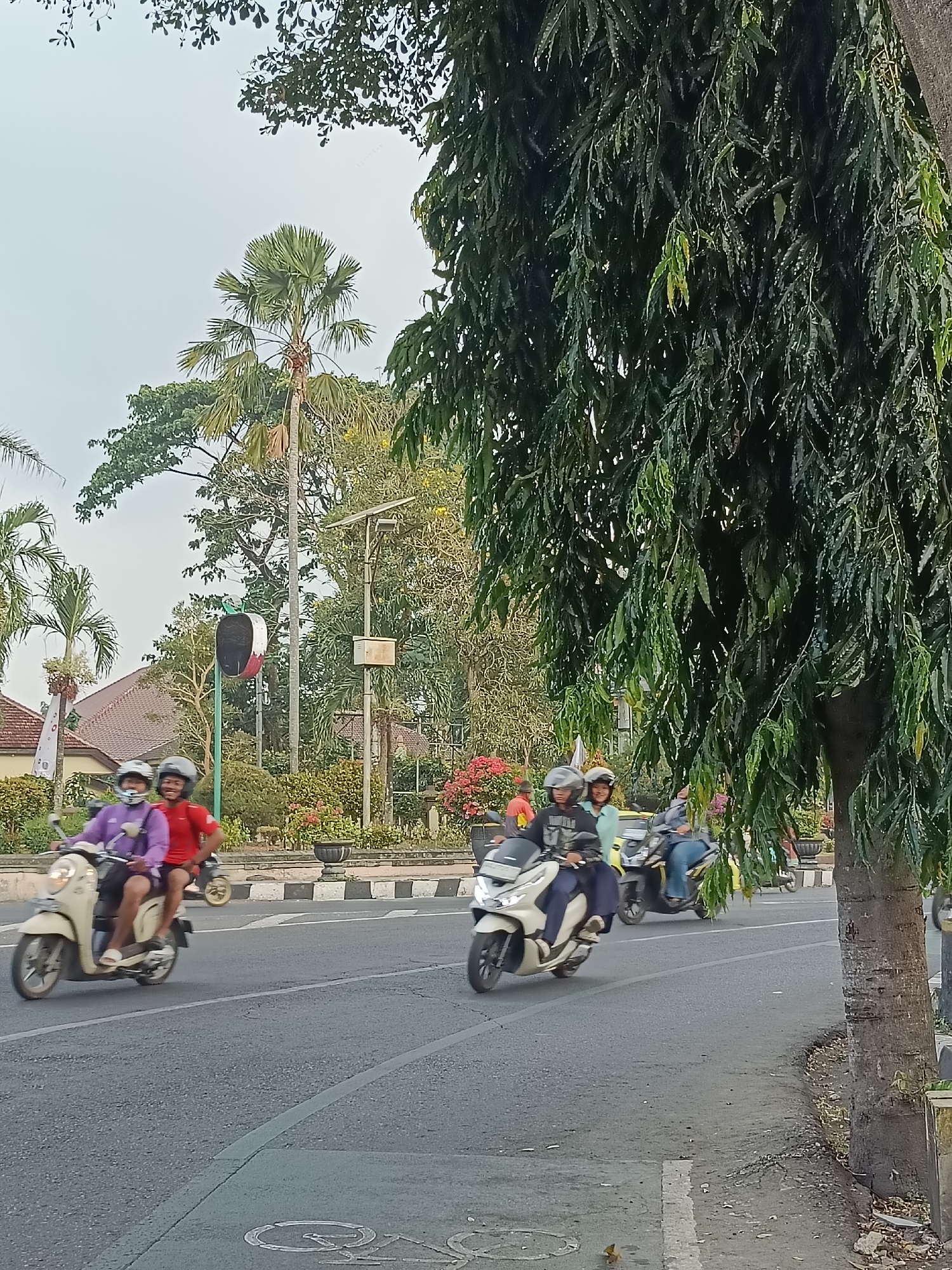 The image depicts a street scene in Kediri City, Indonesia, featuring several individuals riding motorcycles. On the left, two people are riding a light-colored scooter. The person in front wears a purple jacket and a helmet, while the person behind wears a red t-shirt and a helmet. Further down the road, another motorcycle carries two individuals, one in a black jacket and the other in a light blue shirt, both wearing helmets. A third motorcycle with two helmeted occupants is visible on the right side of the frame. The road is paved with asphalt, and a white line divides the lanes. Vegetation, including palm trees and dense foliage, lines the side of the road, with some flowering plants in planters. A traffic signal resembling an apple is also present. The sky is overcast.