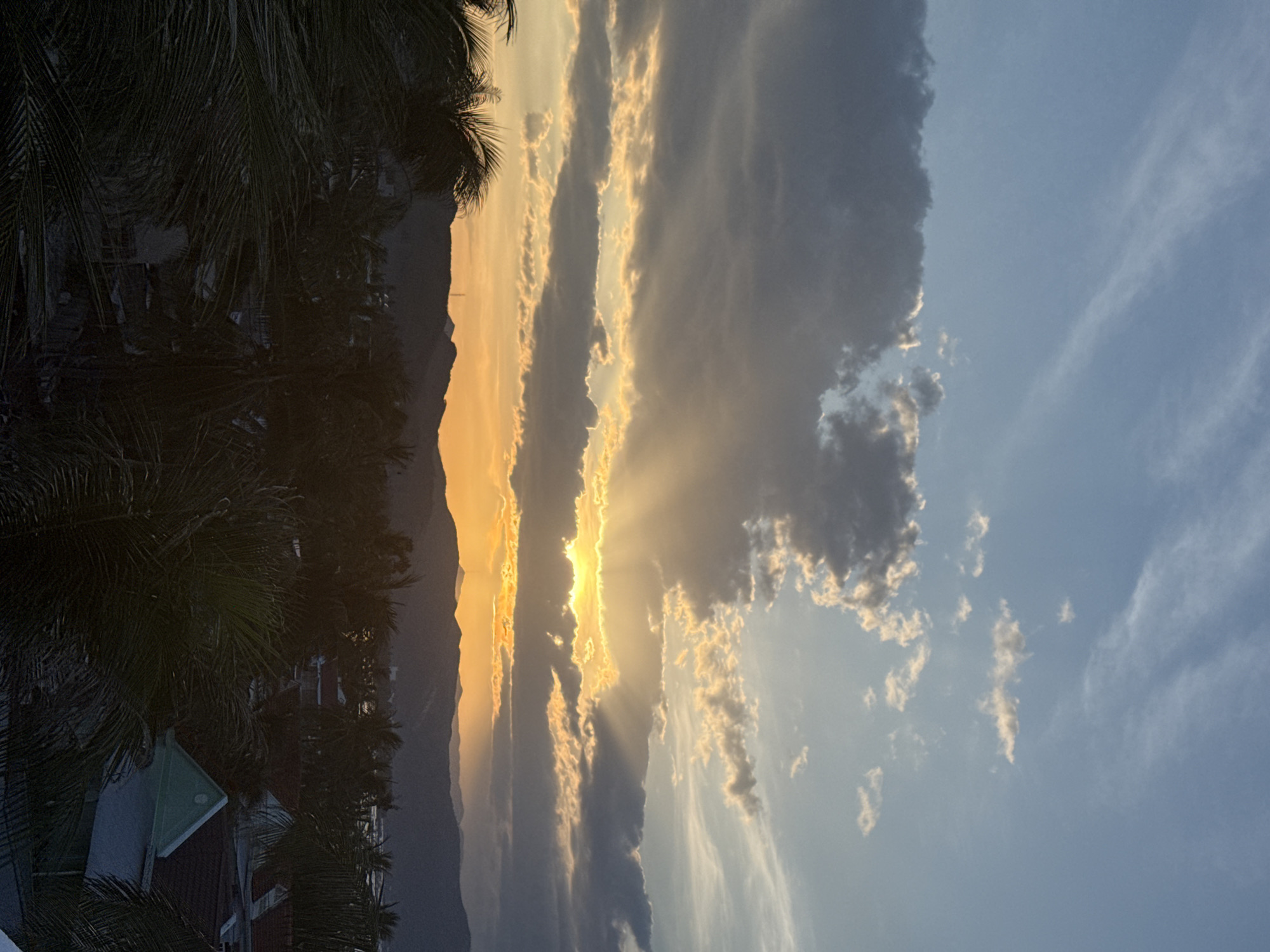 A wide-angle, vertical, eye-level shot captures a sunset over a mountainous landscape, viewed from a rooftop in an unknown urban setting. The sky is a dramatic canvas of blue and grey clouds, with the sun peeking through, casting golden rays across the scene. Dark green palm fronds frame the foreground, their fronds blurring and creating a sense of movement. Below the fronds, buildings with dark roofs are visible, some with light-colored walls. The mountains in the distance are silhouetted against the warm glow of the sunset. The overall mood is one of serene beauty and peacefulness.