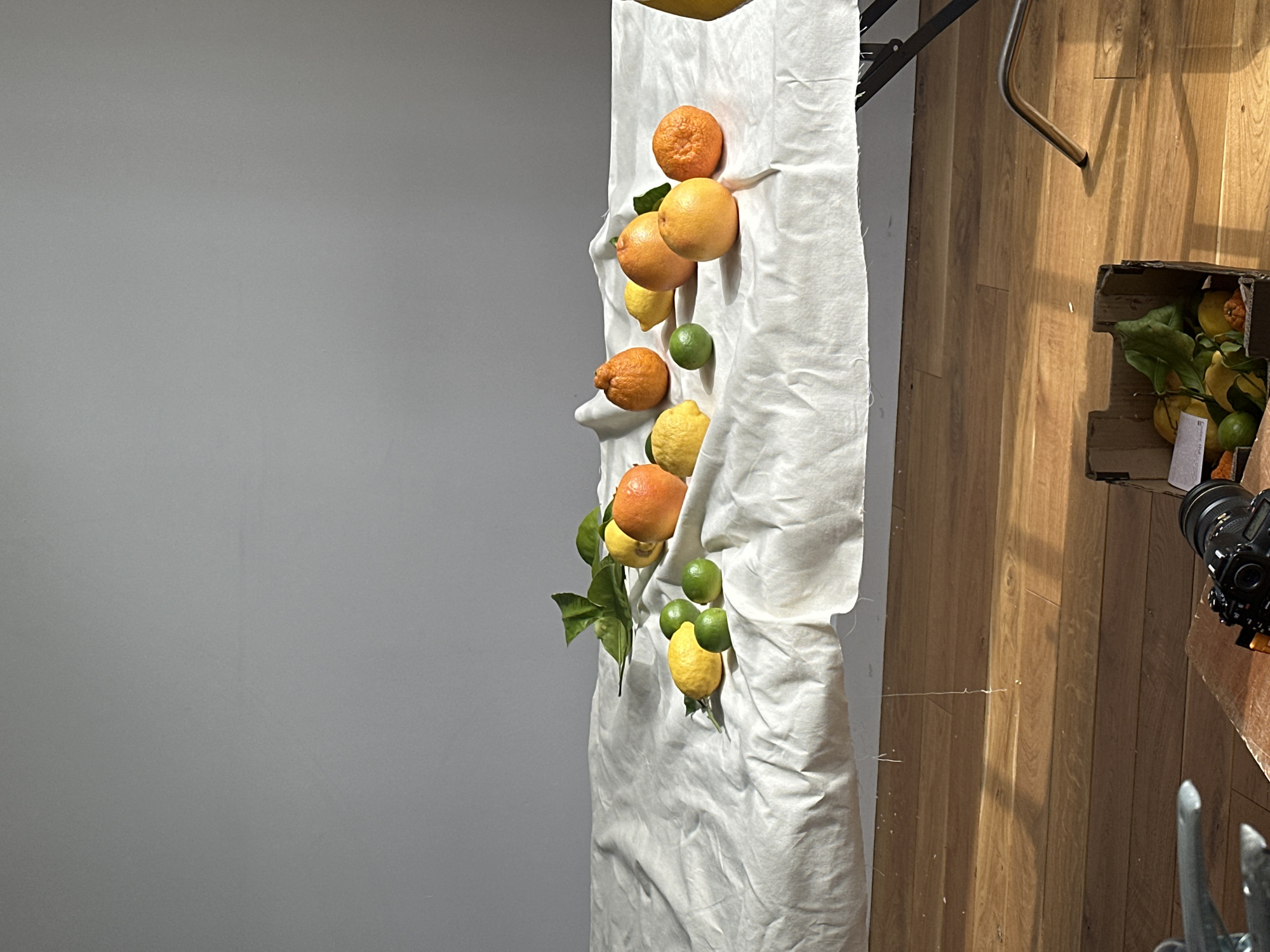 This image depicts an indoor photography setup featuring fresh citrus fruits. A long, draped piece of white fabric serves as a backdrop or display surface, adorned with a variety of oranges, lemons, and limes. Some of the fruits are still attached to green leaves, enhancing their natural appearance. The fruits are arranged vertically along the fabric, suggesting a staged composition.
To the left of the fruit display is a plain, light grey wall. On the right, a wooden floor with prominent planks is visible, along with parts of the photographic equipment. A black camera, identifiable by "Nikon" and "AF-S NIKKOR" text on its lens, is mounted on a tripod in the bottom right corner, indicating an ongoing or recently completed shoot. Further right, a cardboard box filled with more citrus fruits and green leaves can be seen, likely serving as a prop or holding additional items for the shoot. Metallic structural elements, possibly from stands or other equipment, are also present on the right side.
The scene suggests a still-life photography session, likely for commercial advertising or artistic purposes, emphasizing the natural beauty and freshness of the produce. The lighting appears controlled, typical of an indoor studio environment. No individuals are visible, and there are no specific visual cues within the image to indicate its location as London, United Kingdom. A small, unreadable tag is present inside the cardboard box.