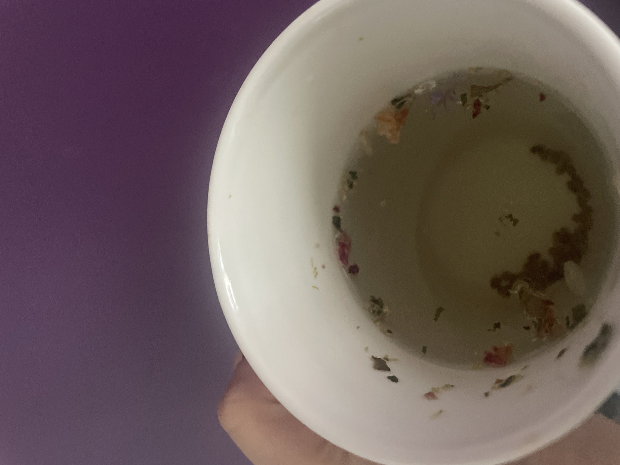 A top-down, close-up shot focuses on a white mug filled with a clear liquid, likely tea or water, containing small dried flowers and herbs. The mug appears to be held by a hand. The background is a flat, uniform purple surface. The image does not provide any information about the location, including the city of Sofia, Bulgaria.
