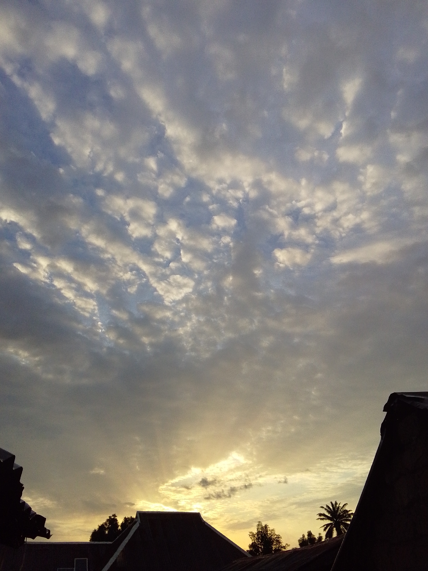 The image shows a sky filled with clouds, some of which are illuminated by the setting sun. The lower portion of the image is dominated by the dark silhouettes of rooftops and trees, suggesting an urban or semi-urban environment. The sky has a mix of grey and yellowish-white clouds, indicating a transition from day to evening. The light source appears to be low on the horizon, casting a warm glow through some of the cloud cover.
