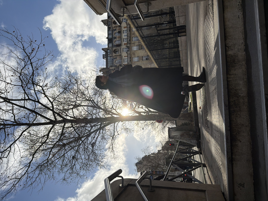 An outdoor urban scene in Paris, France, depicts a sole individual on a sunlit sidewalk. The central figure is an adult female, captured in mid-stride, walking towards the right side of the frame while turning her head to look back over her right shoulder. She is largely silhouetted by direct sunlight originating from the left, which creates a prominent green-blue lens flare on her long, dark coat. She wears dark patterned trousers and dark pointed-toe shoes, carrying a dark bag on her left shoulder.
A large, leafless deciduous tree stands prominently in the upper center, partially obscuring the sun. The foreground features concrete steps and textured tactile paving on a sidewalk. Chrome-colored handrails flank both the left and right sides of the image, indicating a public access point. To the left, a metal barrier, a wire-mesh trash receptacle, and a red traffic light are visible. The background showcases characteristic Parisian Haussmannian architecture, with multi-story buildings featuring light-colored facades, ornate balconies, and mansard roofs under a clear blue sky with scattered white clouds. A dark, decorative metal fence borders a building on the right.