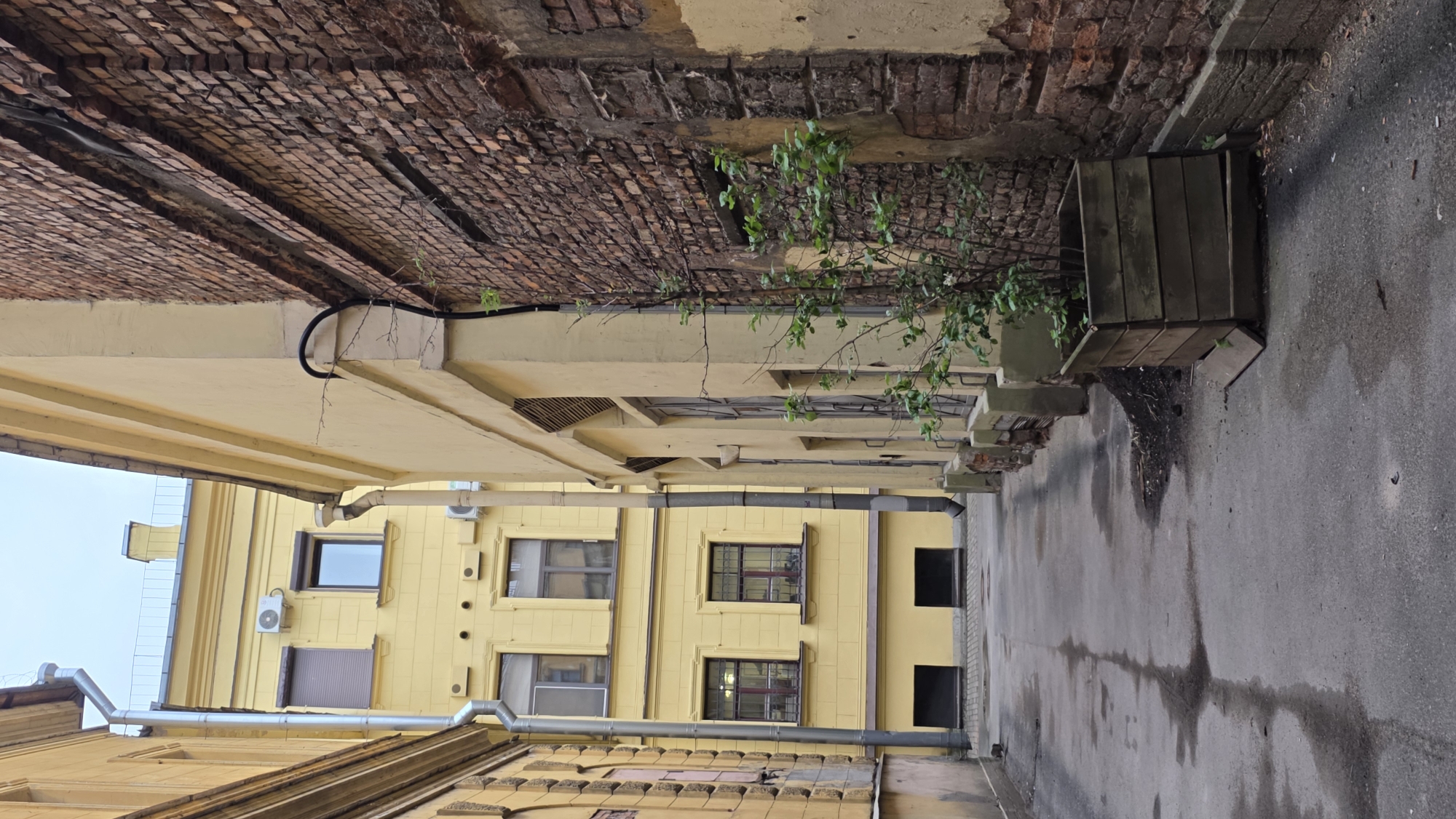The image depicts a courtyard or alleyway in Saint Petersburg, Russia. The perspective is from ground level, looking upwards at the surrounding buildings. The walls on either side are close together, creating a narrow passage. The architecture is characteristic of the city, with yellow painted facades and brickwork. A planter box is visible, containing a small tree. The pavement shows signs of moisture, with damp patches. The overall impression is of an enclosed urban space.