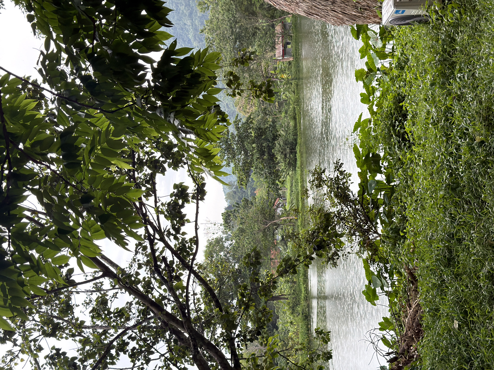 The image captures a serene lakeside scene in the city of Khánh Vĩnh, Vietnam. Lush green trees, with their branches laden with leaves, dominate the foreground, framing a tranquil body of water. The lake's surface is slightly rippled, reflecting the overcast sky. On the far bank, a cluster of diverse trees creates a natural backdrop, punctuated by glimpses of a small building with a red roof and another structure that appears to be a simple dwelling. The environment suggests a rural or semi-rural setting, possibly a park or a residential area near a natural water source. The overall impression is one of peaceful coexistence between nature and human habitation.