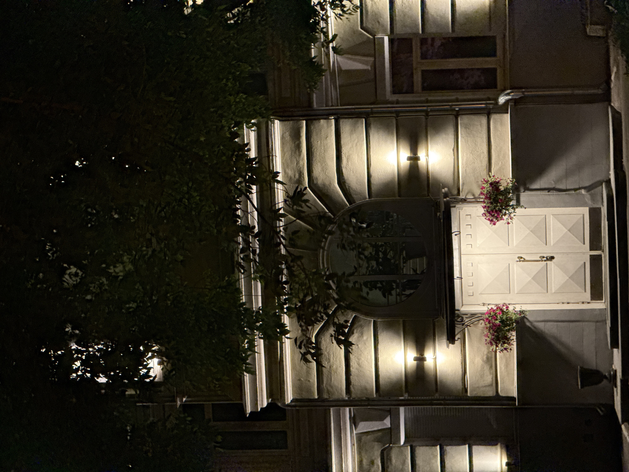 The image captures a nighttime view of a building facade, illuminated by artificial lights, set in what appears to be Moscow, Russia. The scene is dominated by architectural details and dense foliage, creating a chiaroscuro effect.
On the left side, dark, leafy branches from a large tree heavily obscure parts of the building, with some leaves catching the warm glow from the facade lights.
The building itself features a light-colored, possibly stone or stucco, facade with distinct vertical architectural elements, such as pilasters or decorative panels, which are highlighted by the strategically placed wall-mounted lamps. These lamps cast bright conical beams on the textured surface.
A prominent feature on the right side of the facade is a large, light-colored double door or gate, characterized by a geometric pattern of raised squares or diamonds. A metallic handle is visible on the right leaf of the door. Below this door, and to its upper left, hang baskets filled with vibrant pink and white petunias or similar flowers, adding a touch of color to the nocturnal scene.
Above the double door, a large, circular window reflects the dark surroundings and hints of foliage. Higher up, several rectangular windows appear dark, indicating the absence of interior lighting or deep-set panes.
The overall impression is one of quiet elegance at night, with the artificial lights creating a sense of warmth against the dark backdrop. No people or visible text are present. The architectural style suggests a well-preserved or historical building.