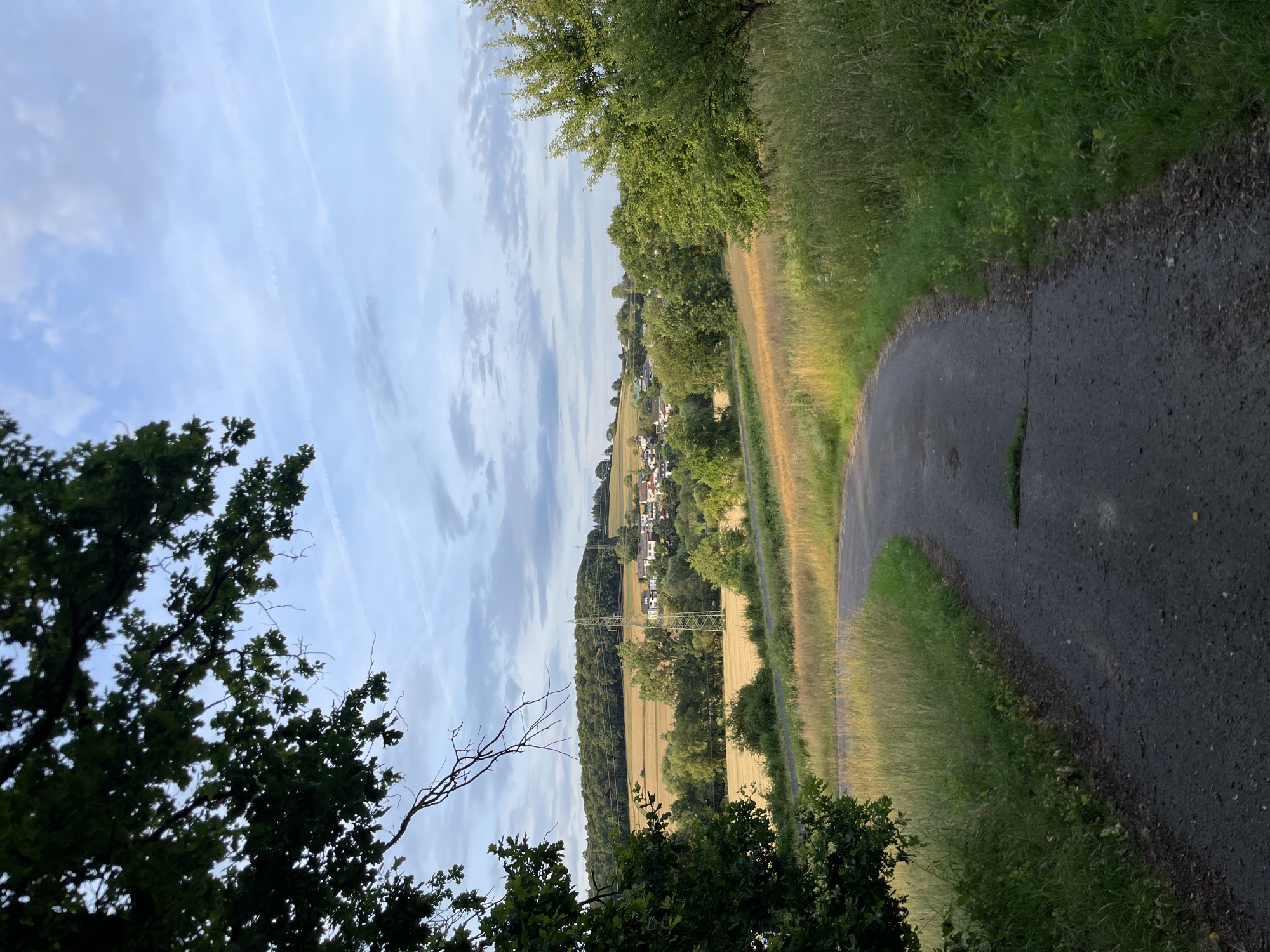A curved asphalt road leads through a grassy landscape towards a village nestled in rolling hills. The road is in the foreground, with tall green grass and wildflowers growing on either side. Beyond the road, a field of golden wheat stretches towards a cluster of white houses with red roofs, forming the village. A tall electrical pylon stands prominently in the middle ground. The background is dominated by a dense forest covering the hilltop behind the village, and a pale blue sky with wispy clouds. The scene is bathed in the soft, warm light of late afternoon or early evening. This image captures a tranquil rural landscape in Neukirchen, Germany.