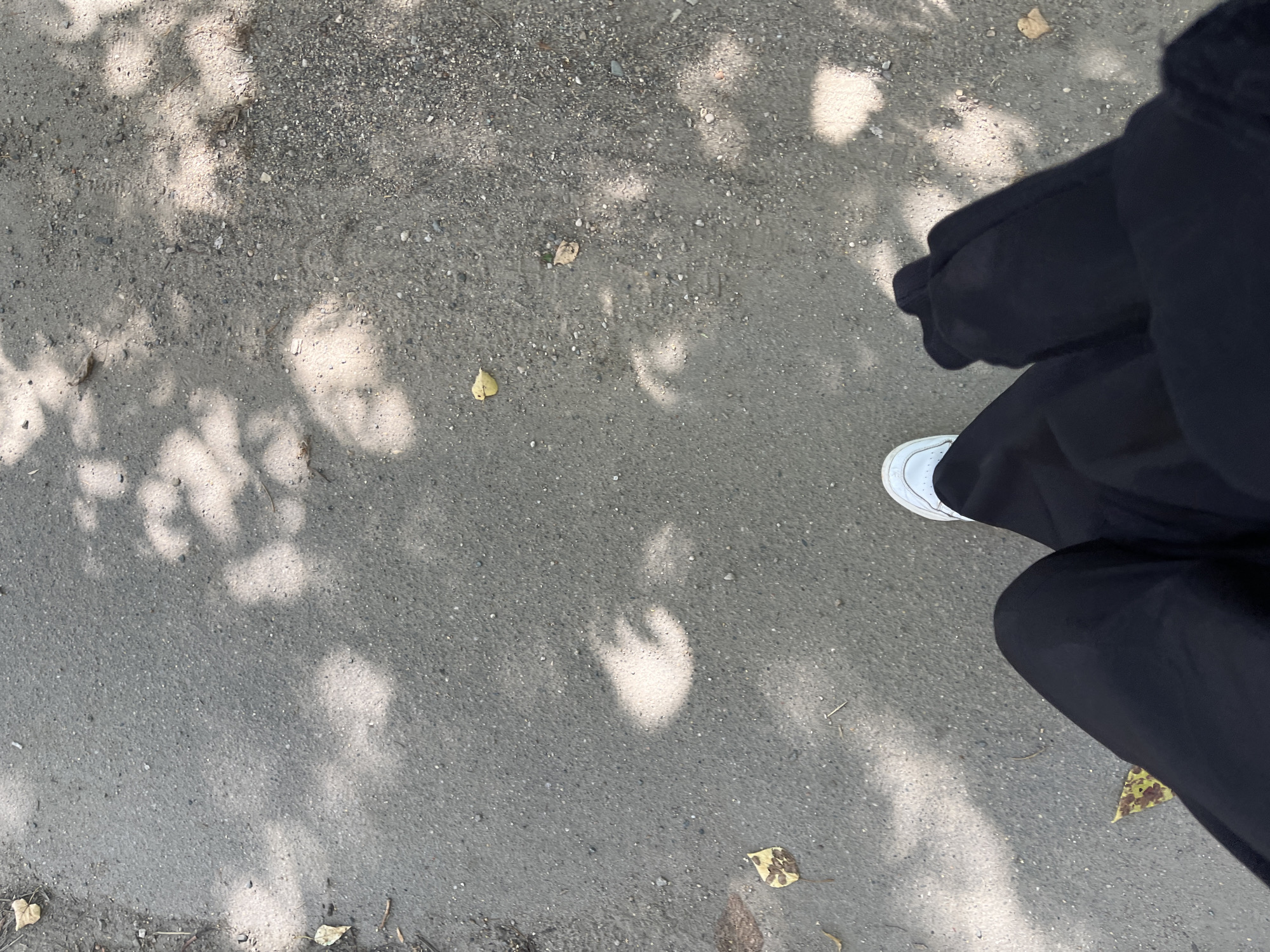 A first-person perspective shot captures a person's legs and feet as they stand on an asphalt path. The path is speckled with small stones and some fallen leaves. Sunlight filters through unseen foliage, casting dappled shadows across the ground. The person is wearing black pants and white sneakers. The environment appears to be outdoors, possibly a park or a tree-lined street.
