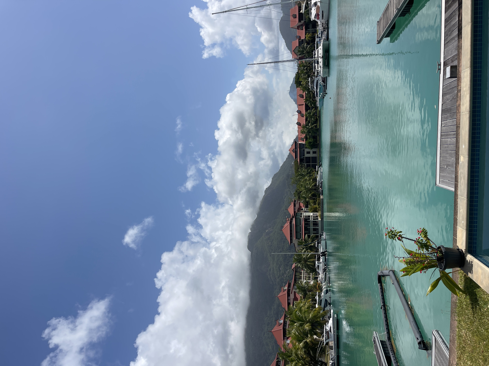 The image depicts a serene marina scene in Victoria, Seychelles, under a bright, partly cloudy sky. The foreground features a swimming pool edge with tiled borders and a nearby grassy area. A potted plant with vibrant red flowers and green leaves sits on the edge of the pool, adding a touch of color.
The central focus is a tranquil, turquoise body of water, likely a harbor or bay, filled with various boats. Sailboats and motor yachts are moored, their masts and hulls reflecting in the clear water. Wooden docks and piers extend into the water, providing access to the vessels.
In the middle ground, a row of buildings with red-tiled roofs and beige facades lines the waterfront, interspersed with lush palm trees. These structures appear to be part of a resort or residential complex. Beyond the buildings, mist-shrouded mountains form a dramatic backdrop, their slopes covered in dense green vegetation. The overall atmosphere is one of peaceful, tropical beauty.