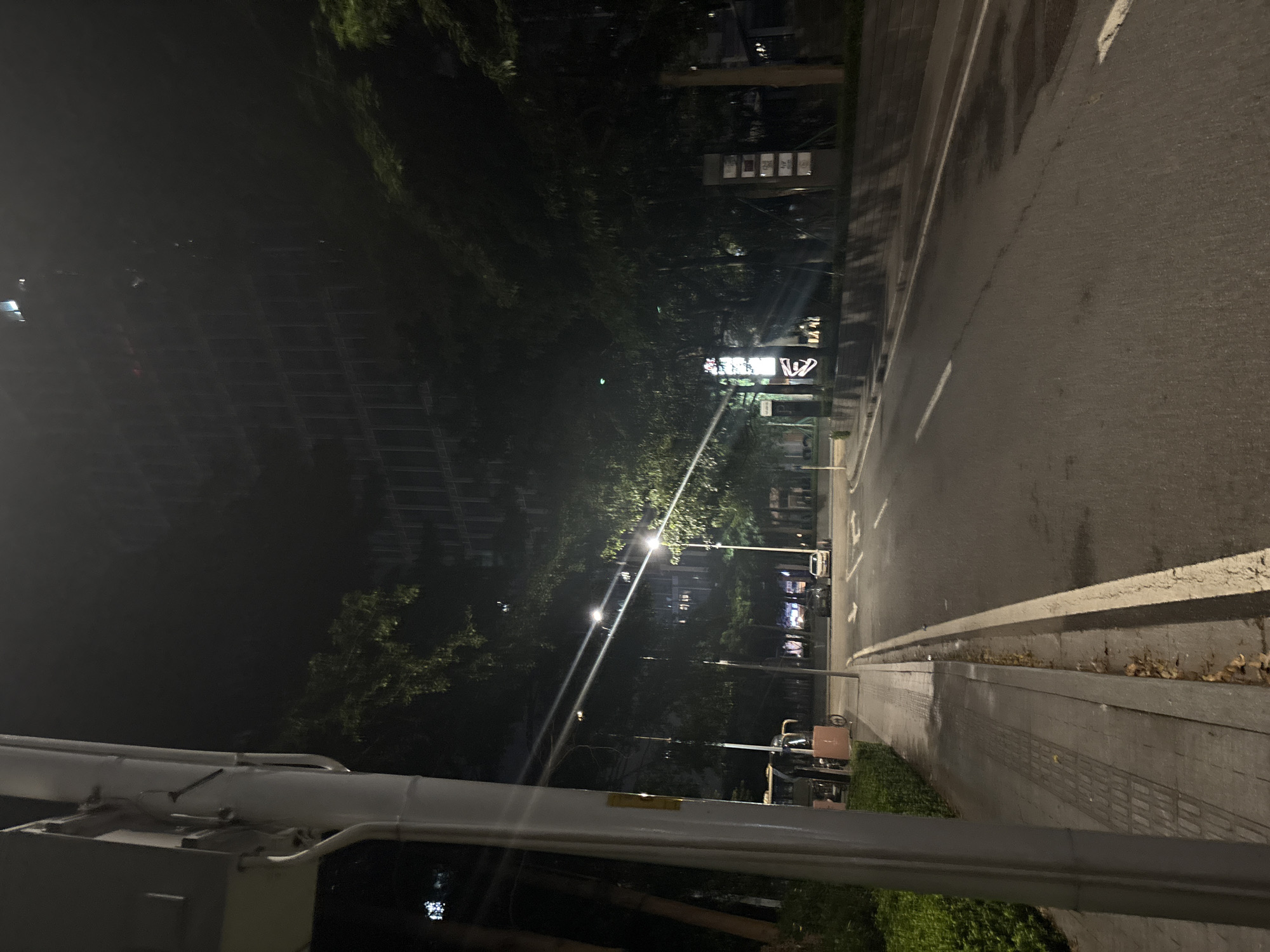 This image captures a nighttime street scene in Haizhu District, China. A paved road with white lane markings occupies the right side of the frame, showing some wet patches from recent rain. On the left, a sidewalk with tactile paving runs alongside a metal pole and a neatly trimmed green hedge. Further down the sidewalk, a small utility vehicle with a red cargo box and a bicycle are parked. The background is dominated by dense foliage from large trees lining the street, their leaves illuminated by overhead streetlights. Beyond the trees, a tall building with a grid-like facade is partially visible, shrouded in darkness and possibly mist. Several vertical signs with illuminated text are present on the right side of the street, hinting at commercial establishments. No people are directly visible in the scene. The overall atmosphere is tranquil and urban.