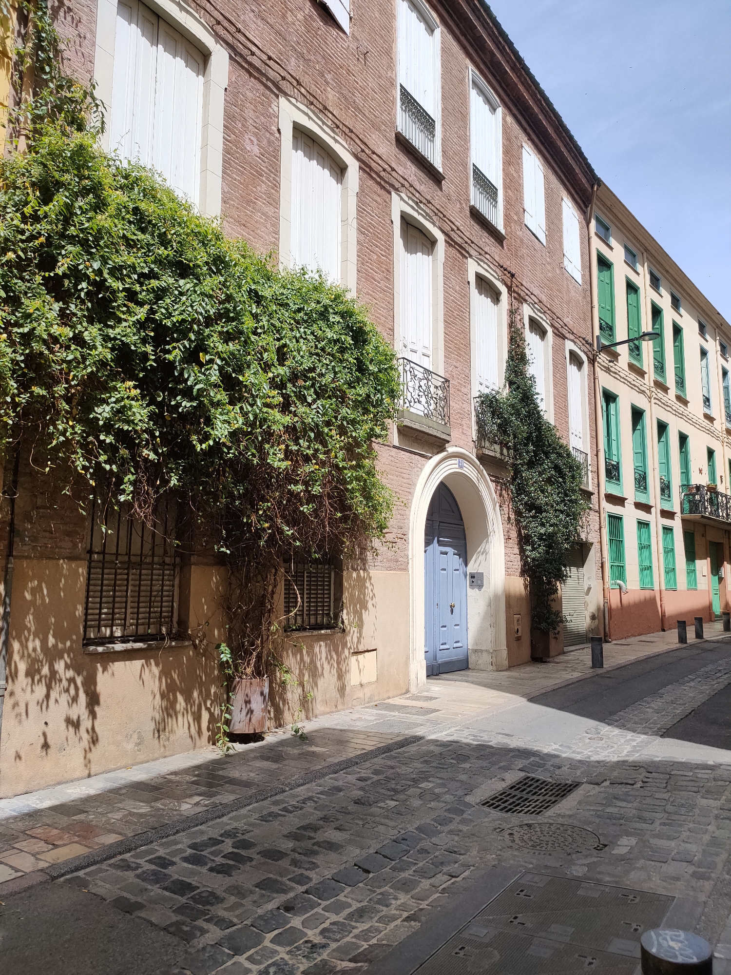 The image shows a narrow, cobblestone street in Perpignan, France, lined with buildings. The architecture suggests it's an older part of the city. On the left, a building with red brick and white-shuttered windows is partially covered by lush green ivy. A large, arched blue door is visible on this building. To the right, a narrower building with light beige and pink facades features numerous green-shuttered windows. The street is empty of people and vehicles. Shadows from the ivy and surrounding buildings are cast across the cobblestones, indicating a sunny day. There are several manhole covers and grates visible in the street surface. The sky above is clear and blue.