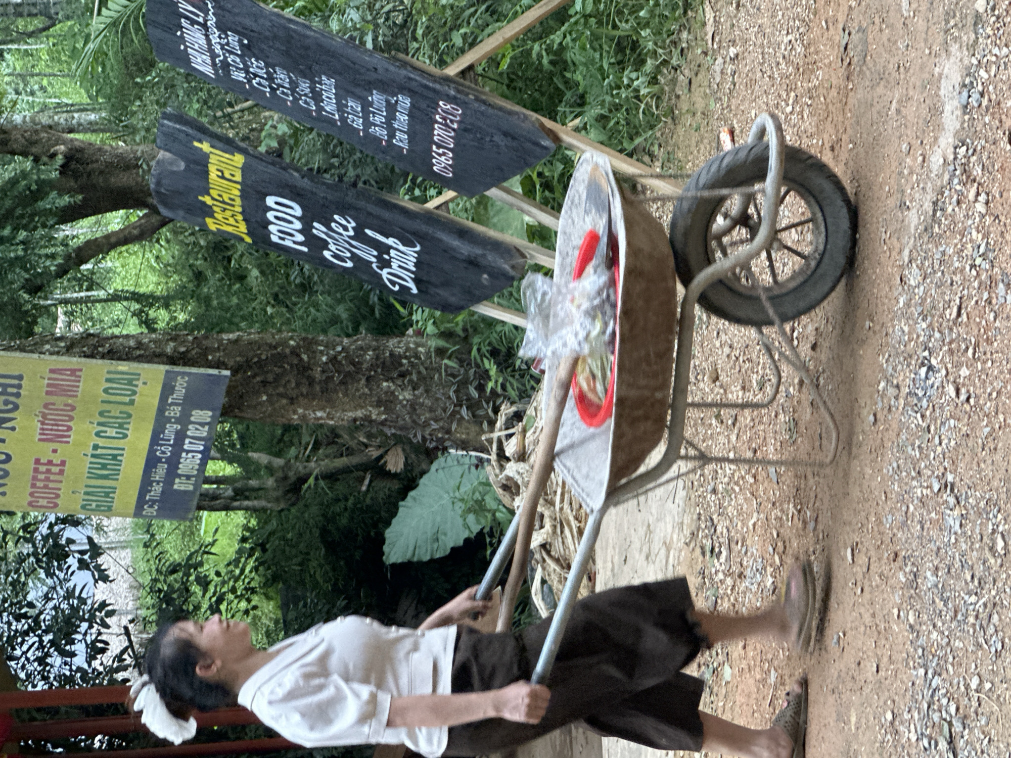 A woman wearing a light-colored blouse and dark pants, with her hair pulled up with a white flower, is pushing a wheelbarrow on a dirt path. The wheelbarrow contains some items covered with plastic wrap and a red object. In the background, there are trees, foliage, and several signs written in Vietnamese. One sign has yellow lettering that reads "Restaurant FOOD coffee Drink". Another sign, black with white and red lettering, lists food items. A third sign, yellow and blue, lists "COFFEE - NƯỚC MÍA GIẢI KHÁT CÁC LOẠI" and provides an address and phone number, "ĐC: Thác Hiếu - Cổ Lũng - Bá Thước ĐT: 0965 07 02 08". The environment appears to be rural or semi-rural, possibly in the Cổ Lũng Commune of Vietnam, given the signage.