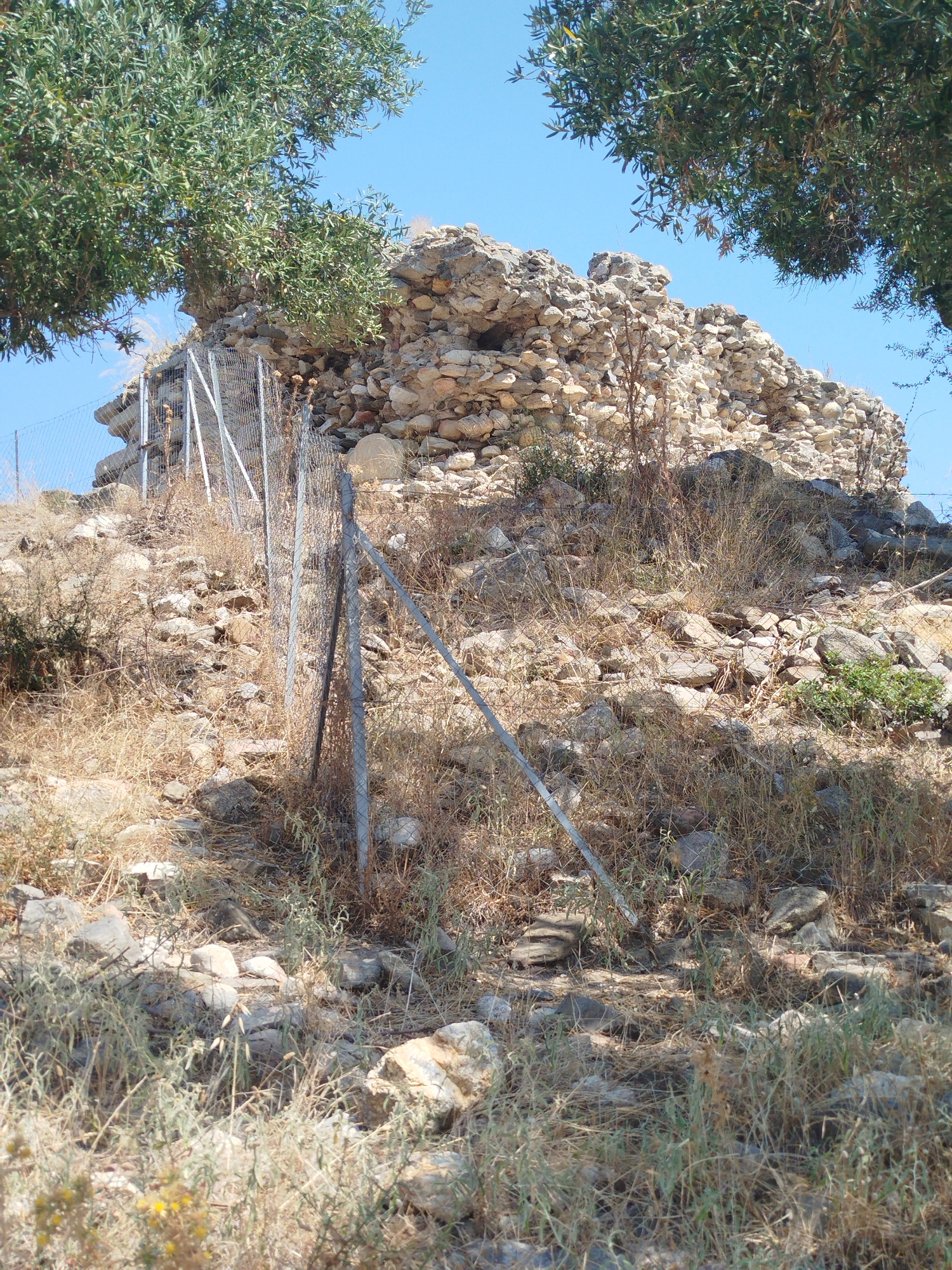 The image depicts a rocky, overgrown hillside with remnants of ancient stone structures, possibly a ruin or fortification, under a clear blue sky. A wire fence with metal posts runs diagonally across the foreground and midground, delineating the area. A large olive tree with dense green foliage is visible in the upper left corner, its branches reaching over the stone structures. The ground is covered with dry grass, smaller stones, and scattered vegetation. The scene appears to be in a rural, possibly archaeological, setting. The location is identified as the Sithonia Municipal Unit in Greece. There are no people visible in the image.