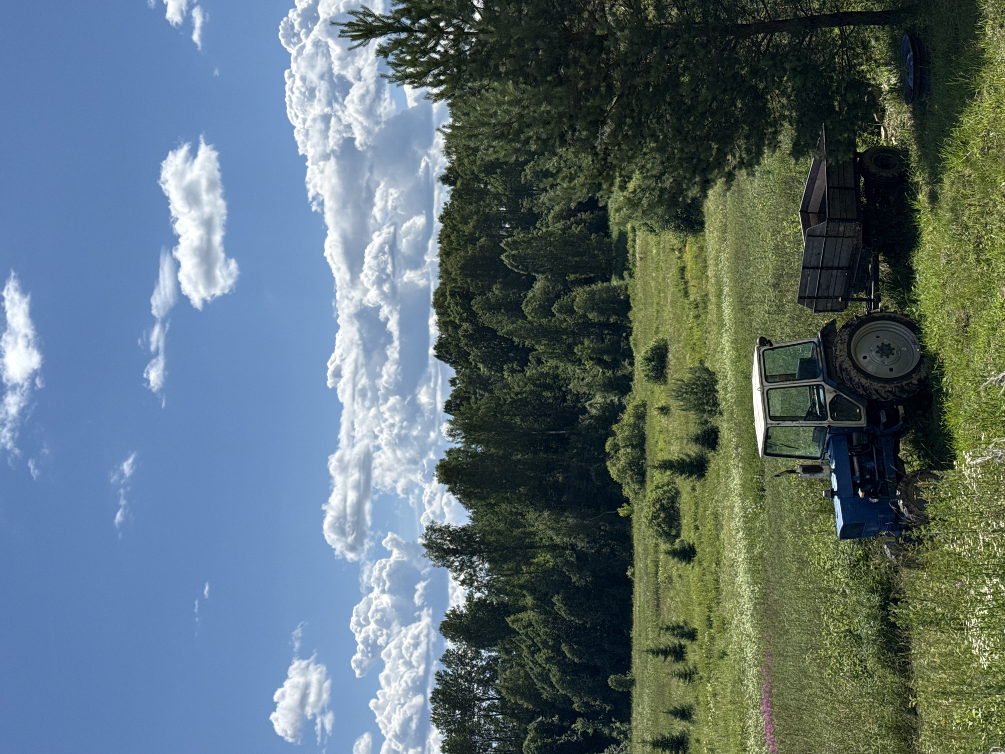 The image depicts a blue tractor with an attached trailer parked in a grassy field with trees in the background under a bright blue sky with fluffy white clouds. The scene appears to be a rural or agricultural setting, possibly in Sholokhovo, Russia, given the location context. The sun is shining, suggesting it's daytime, and the weather seems clear and pleasant. The grass is tall and green, with some wildflowers visible. The tractor is facing away from the camera, and its doors are open. The trailer is empty. There is no visible text in the image. The overall mood is serene and peaceful, evoking a sense of rural tranquility.