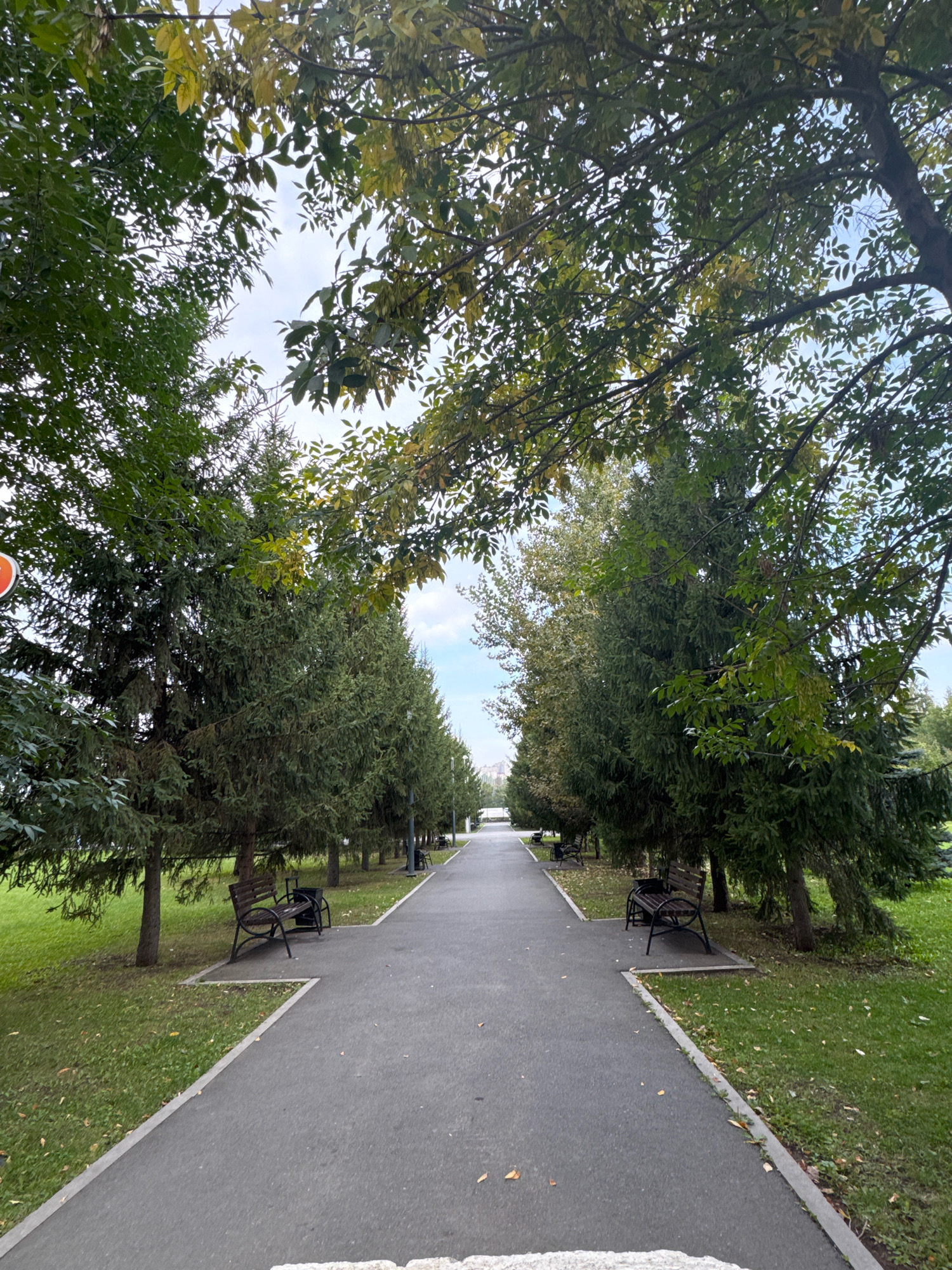 The image depicts a straight, paved pathway in a park in Ufa, Russia. The pathway is lined on both sides by rows of mature trees, primarily conifers and deciduous trees with some leaves showing autumnal yellowing. Several park benches are situated along the pathway, with a trash receptacle next to one of them. The ground is covered in green grass, with scattered fallen leaves. The sky is overcast with patches of blue visible. The scene appears to be peaceful and devoid of human activity at the time the photograph was taken. The pathway extends into the distance, suggesting a larger park area. The lighting indicates it is daytime, possibly late morning or afternoon.
