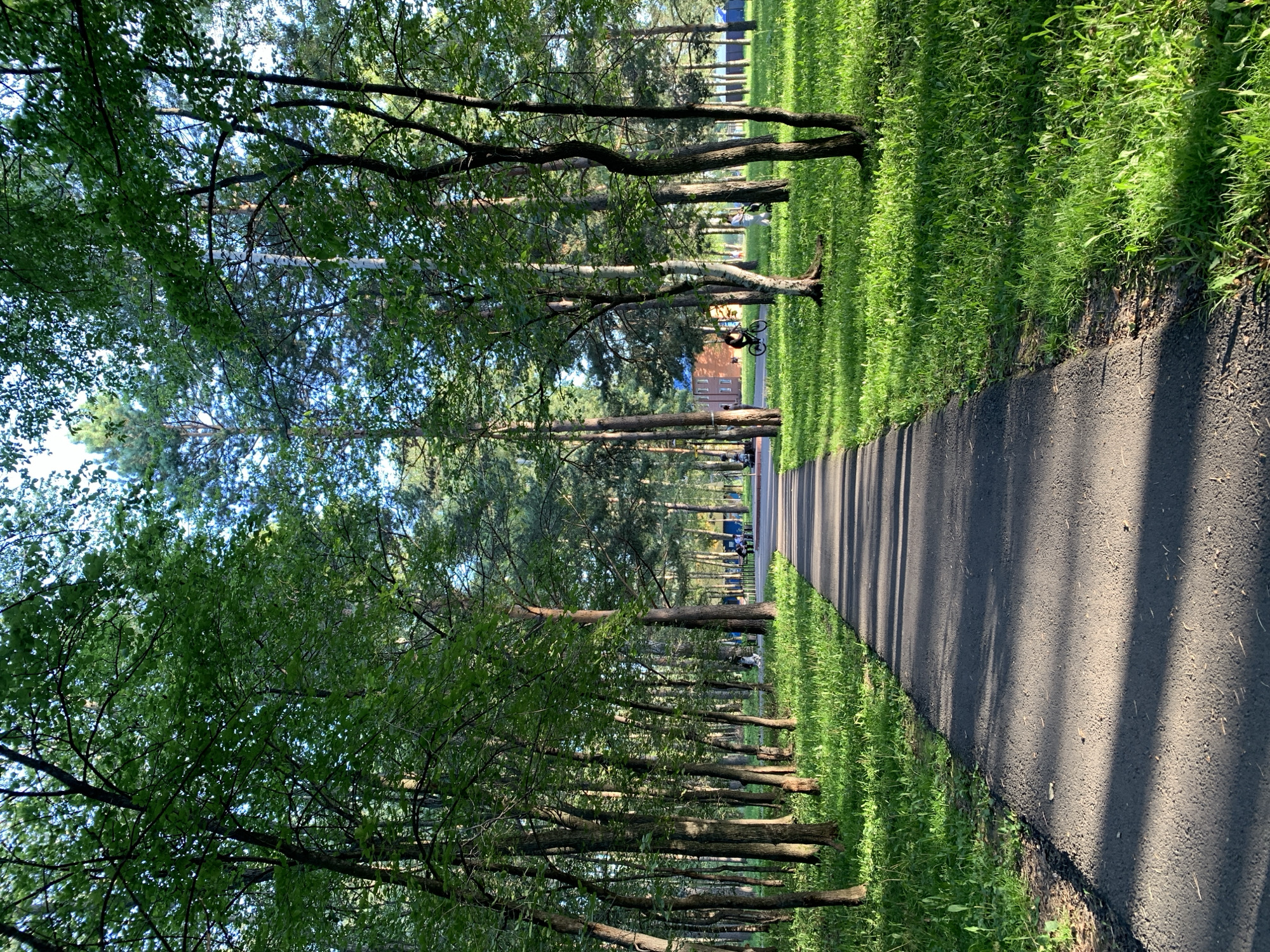 The image depicts a paved pathway winding through a sun-dappled forest. The pathway, made of dark asphalt, is bordered on both sides by lush green grass and numerous trees with dense foliage. In the distance, a red brick building with multiple windows is visible, situated among more trees. To the right of the pathway, a person is riding a bicycle, and further down, two individuals are seated on a bench. The lighting suggests it is daytime, with sunlight casting shadows from the trees onto the path and grass. The scene appears to be a park or recreational area within a wooded environment. The location is identified as the forest park "Zeleny Kray" in Prokopyevsk, Russia.