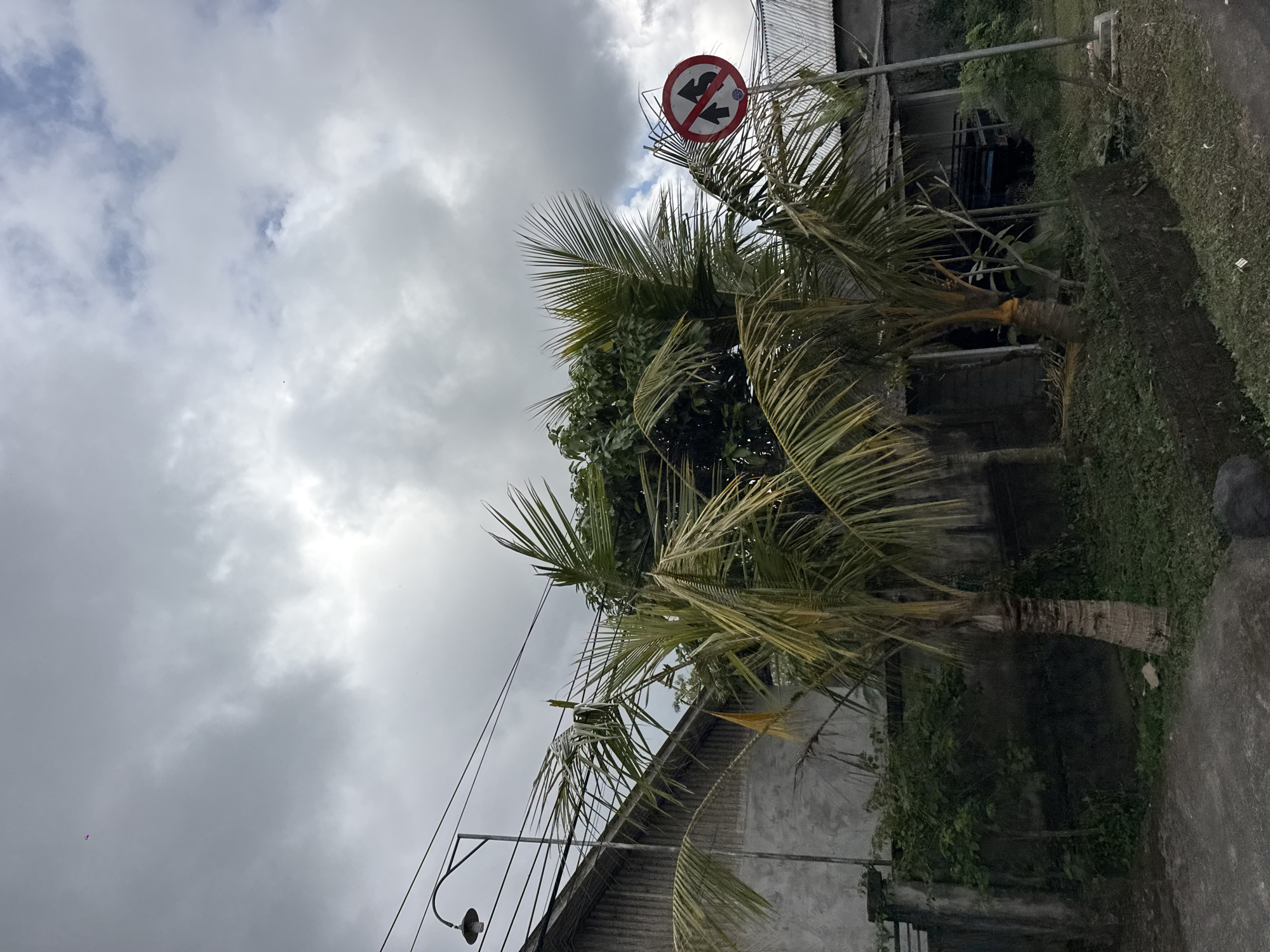 The image depicts an outdoor scene with a slightly overcast sky. In the foreground, a paved surface is visible, leading to a grassy area with a low retaining wall. Two palm trees with sparse fronds stand prominently in the middle ground, with lush green foliage behind them. To the left, a grey corrugated metal building with a sloping roof is partially visible. A street lamp on a pole with electrical wires extends across the upper portion of the frame. To the right, a circular traffic sign with a red border and a diagonal red bar over two arrows indicates a no-passing zone. Further in the background, more buildings with corrugated roofs are visible. The overall impression is of a rural or suburban street scene in Bangli, Indonesia, characterized by its tropical vegetation and utilitarian architecture. There are no people or animals visible in the frame.