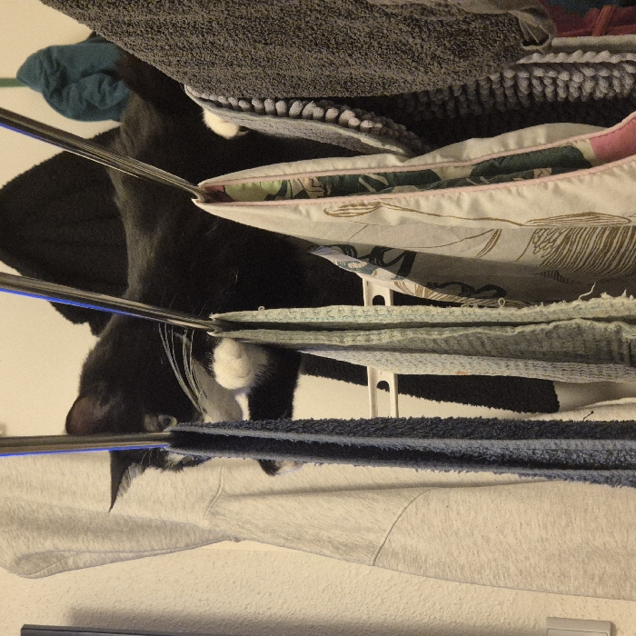 A black and white cat peeks through the layers of a laundry rack. The rack is filled with various items, including towels, clothing, and pillows. The cat's whiskers and part of its face are visible between the different layers of the rack. A grey sweatshirt is seen at the bottom of the rack, closer to the background.
