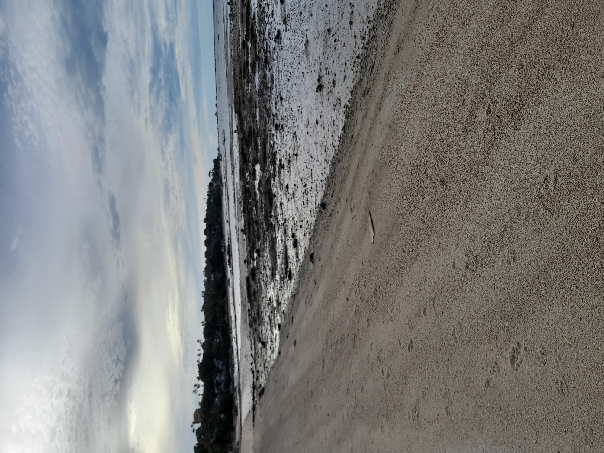 This is a landscape photograph taken from a sandy beach looking towards the ocean. The foreground is dominated by a sandy beach with visible footprints. To the right of the beach, the ground transitions to a wet, rocky, and muddy area that appears to be exposed during low tide. Further out, the ocean stretches to the horizon, with a faint line of islands or land visible in the distance. The sky is cloudy and overcast, with a mix of light and dark gray clouds. Along the far shore, there is a line of trees and some indistinct structures that suggest a coastal settlement. The overall scene is one of a natural coastal environment under a cloudy sky.