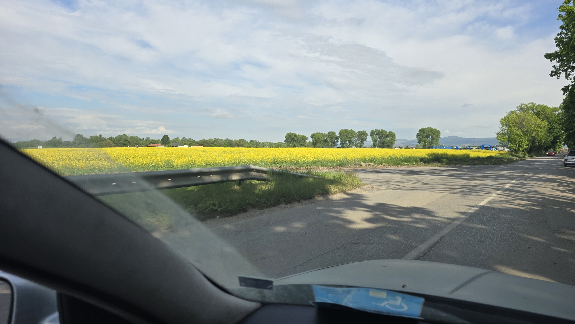 The image shows a view from inside a vehicle, possibly a car, looking out onto a rural scene. A field of bright yellow flowers, likely rapeseed, stretches out to the horizon under a sky with patchy clouds. A line of green trees is visible at the far edge of the field. To the right of the field, a paved road stretches away from the camera, with trees casting shadows across it. The road appears to be located near Negovan, Bulgaria, as indicated by the presence of roadside vegetation and the type of landscape visible. A guardrail is located next to the road, separating it from the field. The interior of the vehicle is visible in the foreground.