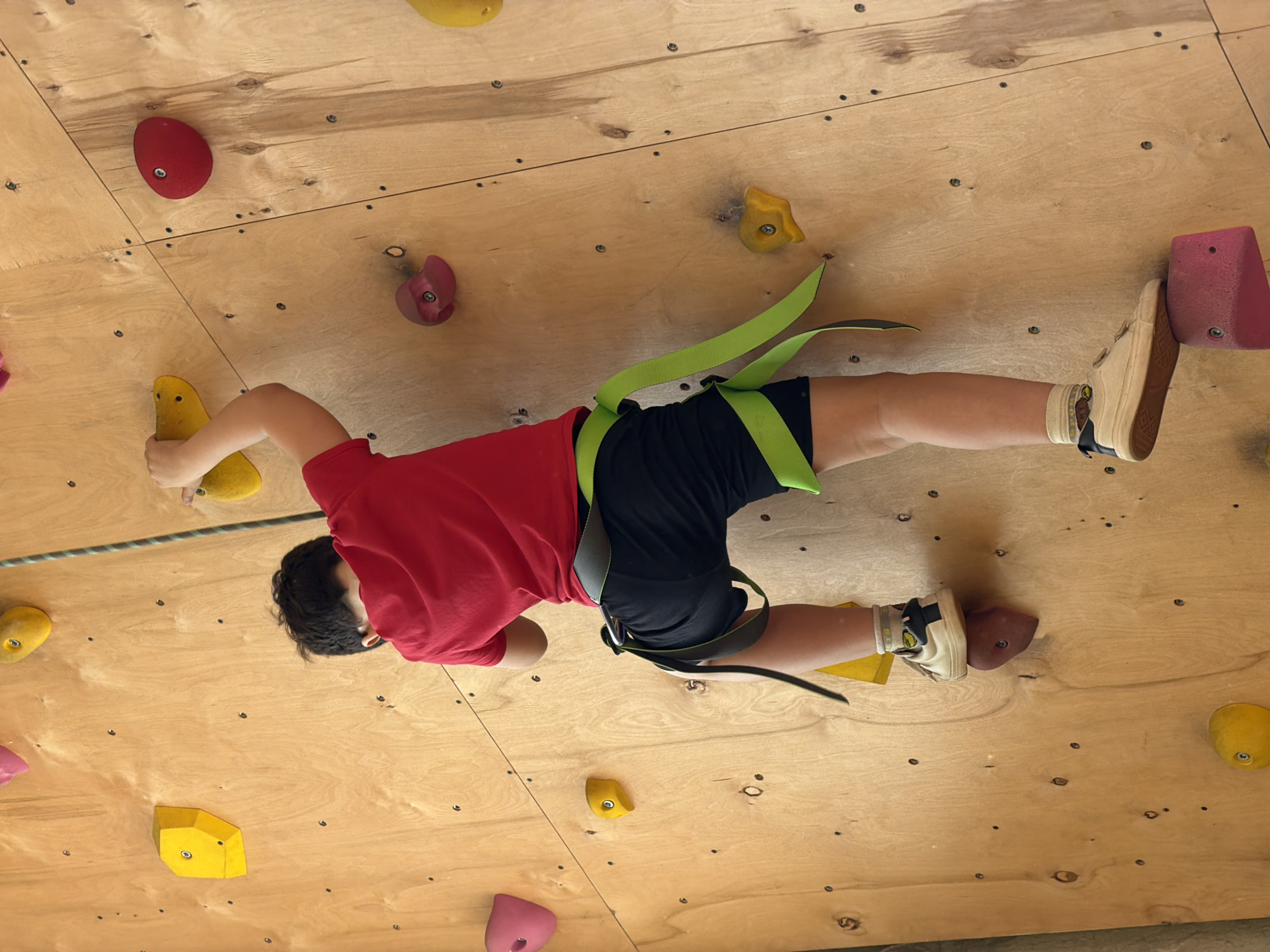 A child wearing a red shirt, black shorts, tan-colored sneakers with patterned socks, and a climbing harness is ascending an indoor climbing wall. The wall is constructed of light-colored wood with numerous colorful climbing holds attached. A climbing rope is visible near the child's left hand. The location is unknown.