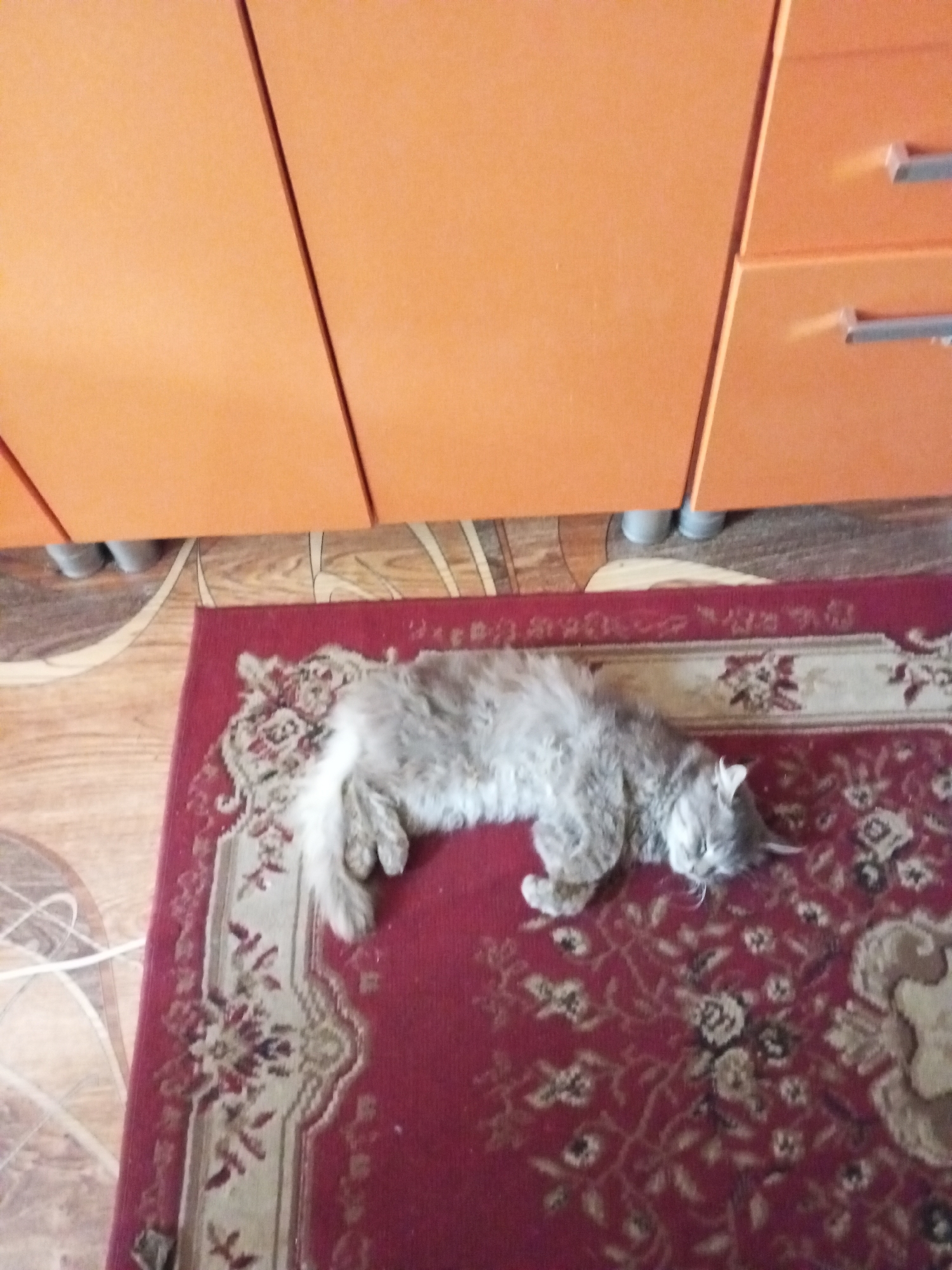 A long-haired, light gray cat is sleeping on its side on a red rug. The rug has a floral pattern. The cat is positioned in the center of the rug, facing right. Behind the rug, a wooden floor is visible, with a pattern of lighter and darker wood. In the background, an orange cabinet with silver handles is mounted on the wall. The cabinet appears to be part of a kitchen or storage area. The scene is indoors, likely in a residential setting.