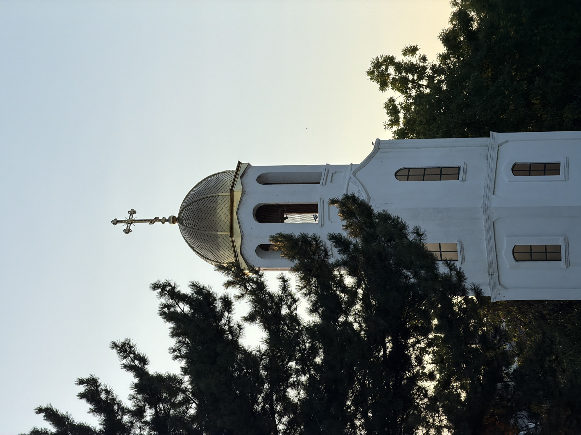A white bell tower with a golden dome is visible against a pale sky. The bell tower has arched openings near the top and rectangular windows on its lower sections. A dark green pine tree partially obscures the left side of the bell tower. Other green trees are visible on the right side. A cross tops the golden dome. The image is taken from below, looking up at the bell tower, suggesting it is part of a church or monastery. The scene appears to be located in Svilengrad, Bulgaria.
