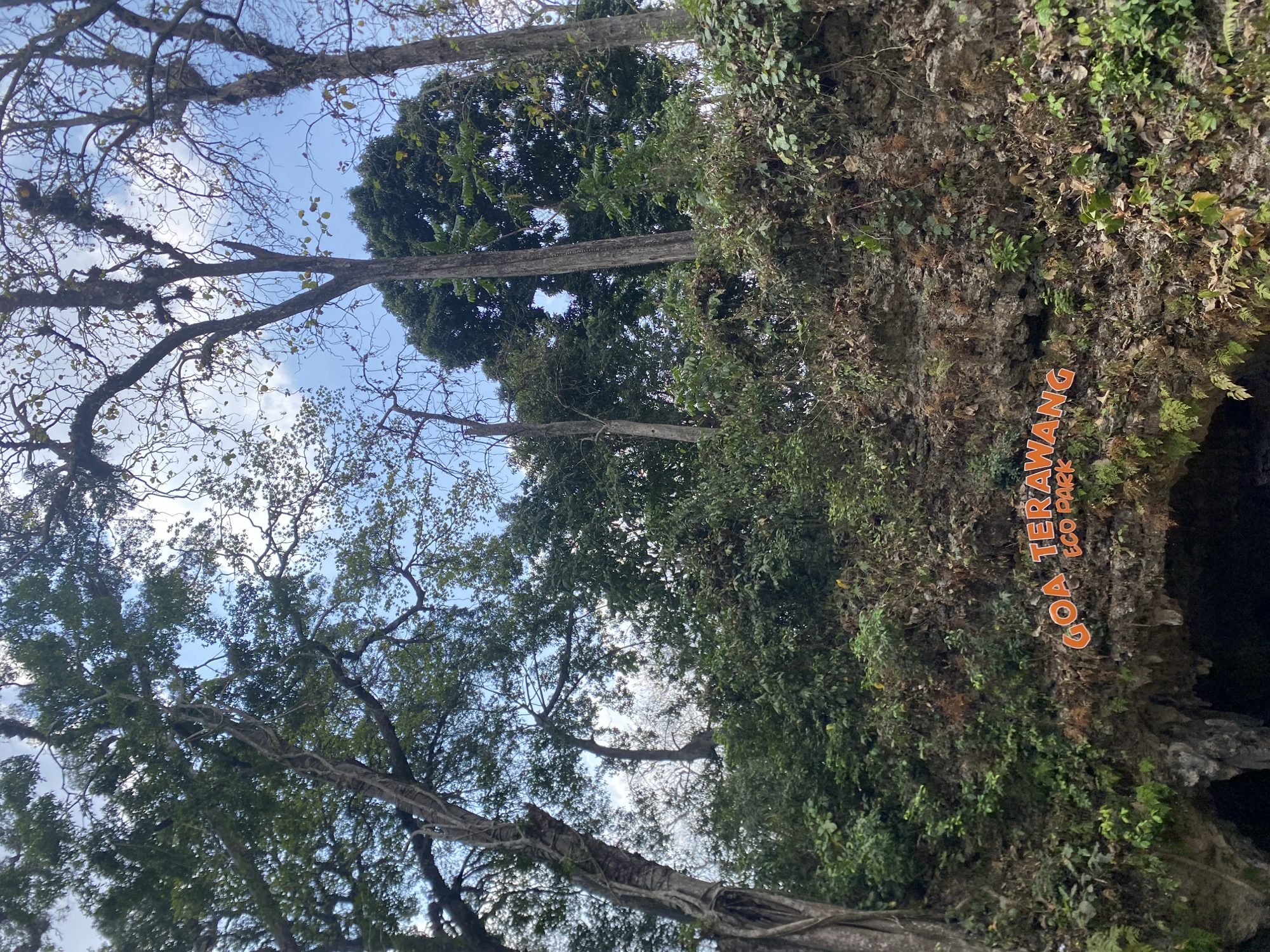 The image shows a sign that reads "GOA TERAWANG ECO PARK" in orange letters on a rocky cliff face. The sign is partially obscured by foliage. Above the cliff, lush green trees with a mix of leafy and bare branches reach towards a sky with scattered clouds. The scene appears to be a natural outdoor environment, likely a park or natural reserve. The entrance to a cave is visible below the sign.