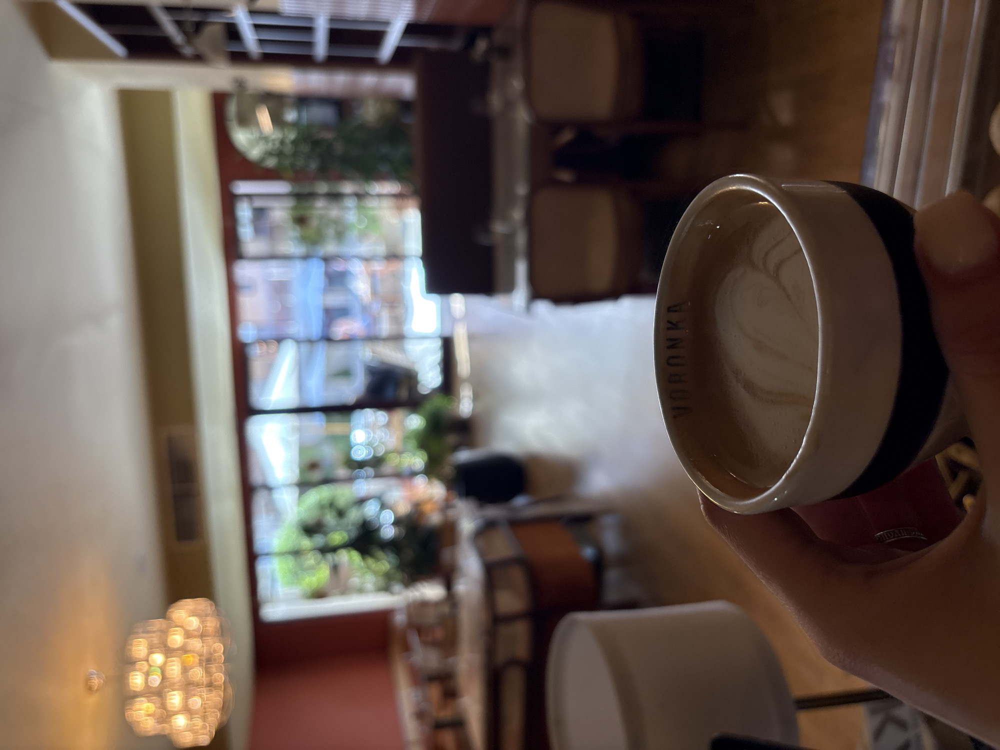 A hand is holding a cup of coffee with the word "VORONKA" printed on it. The person holding the coffee has a ring on their finger. In the background, there is a window with a view of a street. There are chairs and tables in the room. A light fixture hangs from the ceiling. The location is Boreti, Montenegro.