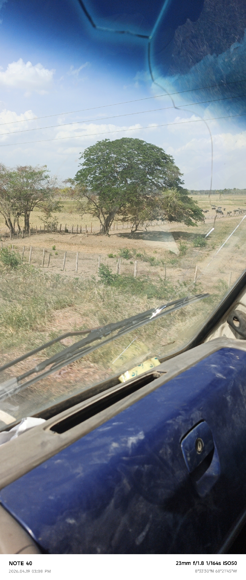 The view from inside a vehicle, possibly a car or truck, shows a rural landscape in Cano Negro, Venezuela. A dirt field is partially enclosed by wooden fences with spaced vertical posts. Several trees are in the field, with one large, full tree in the center. A herd of cattle is visible in the background. The sky is blue with scattered clouds. The foreground includes the vehicle's dashboard and windshield wipers. A yellow object is visible on the dashboard. The image metadata indicates the location is 8°33'30"N 68°21'45"W. The photograph was taken with a 23mm lens at f/1.8, 1/164s, ISO50.