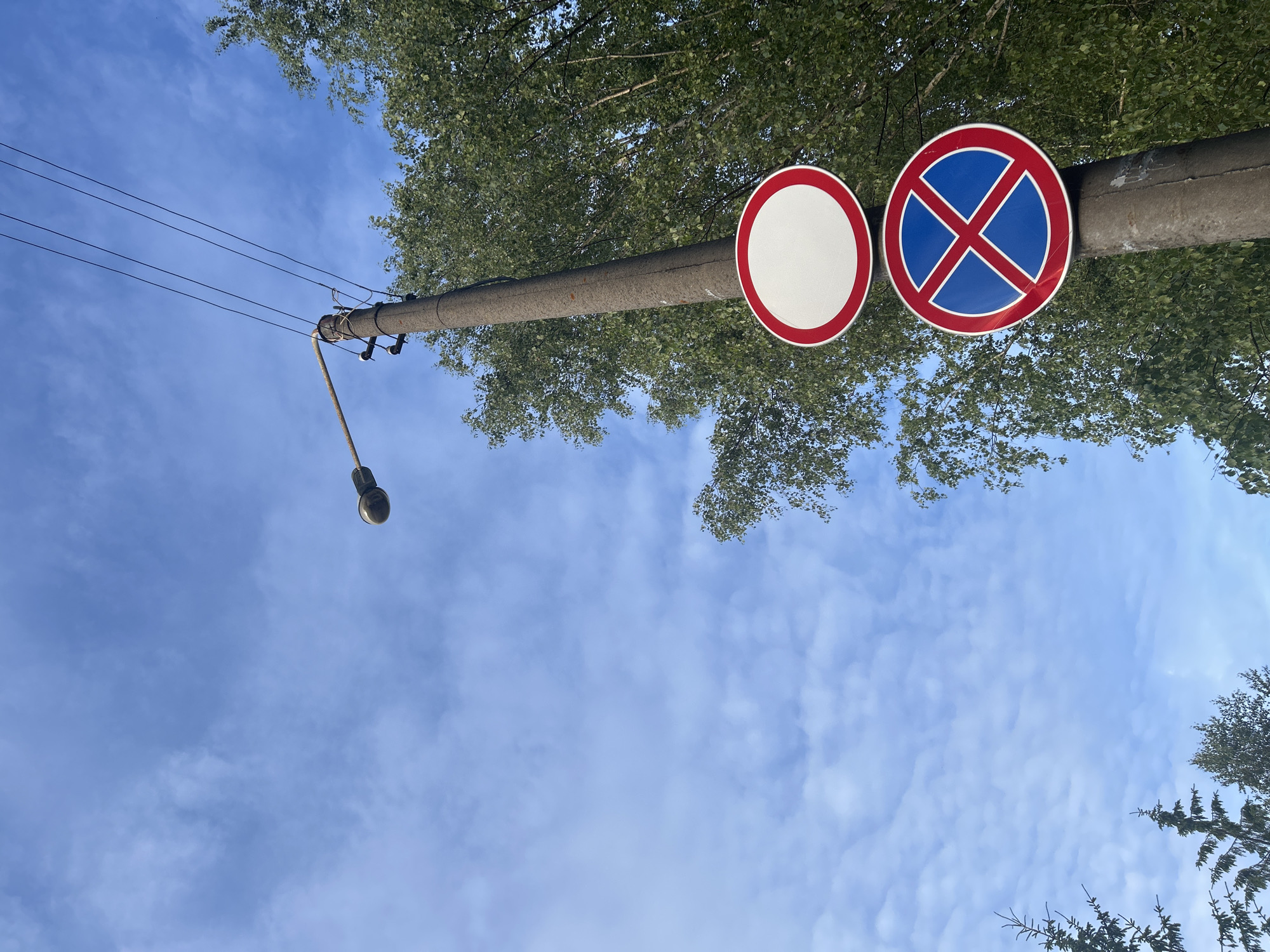 A low-angle, outdoor, eye-level shot captures a concrete utility pole against a bright blue sky with scattered white clouds. The pole is topped with a streetlamp and adorned with two circular traffic signs: a white sign with a red border at the top, and a blue sign with a red border and a red 'X' below it. Several thin black wires extend from the top of the pole, disappearing to the left. Lush green foliage from trees frames the right side of the pole, and a few dark green pine trees are visible in the lower left and right corners of the frame.