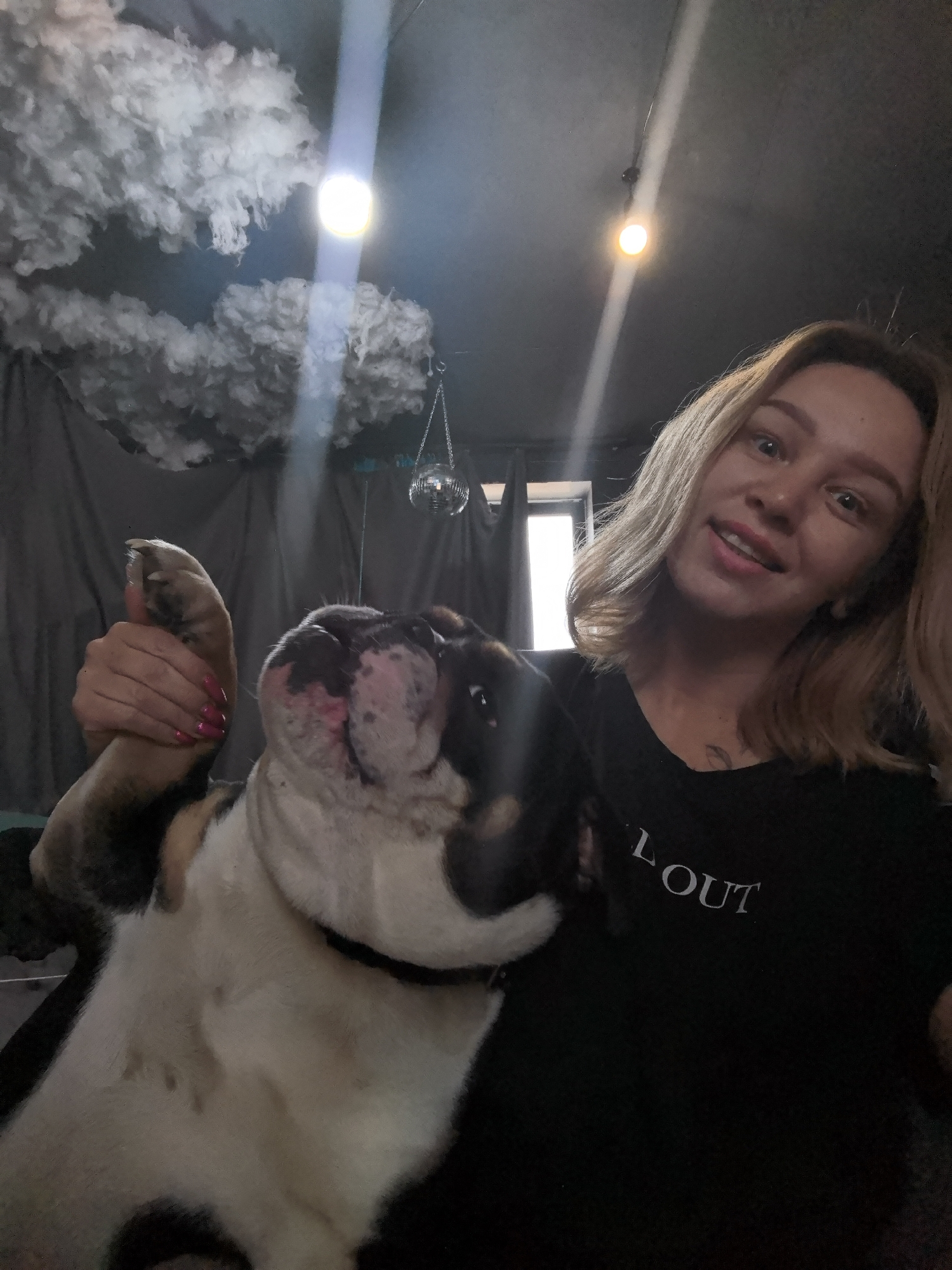 An indoor full-length portrait features a woman and an English Bulldog. The woman, with blonde hair and a fair complexion, smiles warmly at the camera. She wears a black t-shirt with the partial text "L OUT" visible on the front. Her left hand gently holds the dog's front paw, revealing pink nail polish.
The English Bulldog, predominantly white with brown and black markings, sits beside her, looking upwards with its characteristic wrinkled face. Its fur shows some dirt marks on its chest.
The background depicts a dark, possibly black, ceiling adorned with fluffy white cloud-like decorations. Two bright, exposed light bulbs hang from the ceiling, creating distinct glares. A small disco ball is suspended in the distance, near some dark grey drapery or fabric. A bright window is visible behind the woman's head on the right side of the frame, indicating daylight outside. The overall setting appears to be a uniquely decorated room, possibly a themed space or a creative home interior in Noviy, Russia. The image captures a happy, affectionate moment between the woman and her pet.