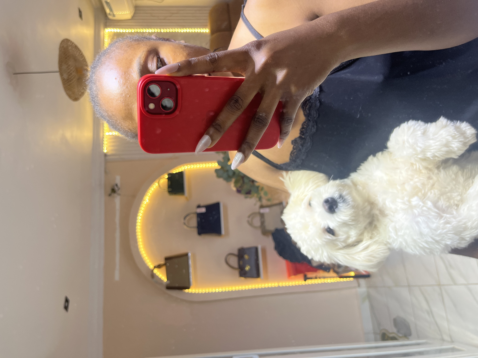 In an indoor setting, possibly a retail space or a well-decorated home in Abuja, Nigeria, a woman takes a mirror selfie holding a small, fluffy white dog. The woman is holding a bright red smartphone up to take the picture, partially obscuring her face. She is wearing a dark, possibly black, camisole with lace trim. The dog, a poodle mix, looks directly at the camera with an inquisitive expression.
Behind the woman, in the reflection of the mirror, a store display is visible. It features an arched wall adorned with a string of yellow fairy lights. Several handbags of various colors and sizes are neatly arranged on white shelves within the arch. The overall ambiance suggests a chic and modern environment. The flooring appears to be tiled. The lighting in the room is warm, with additional lighting fixtures visible in the background, including what looks like a woven ceiling lamp. The scene implies a casual and personal moment captured within a stylish setting.