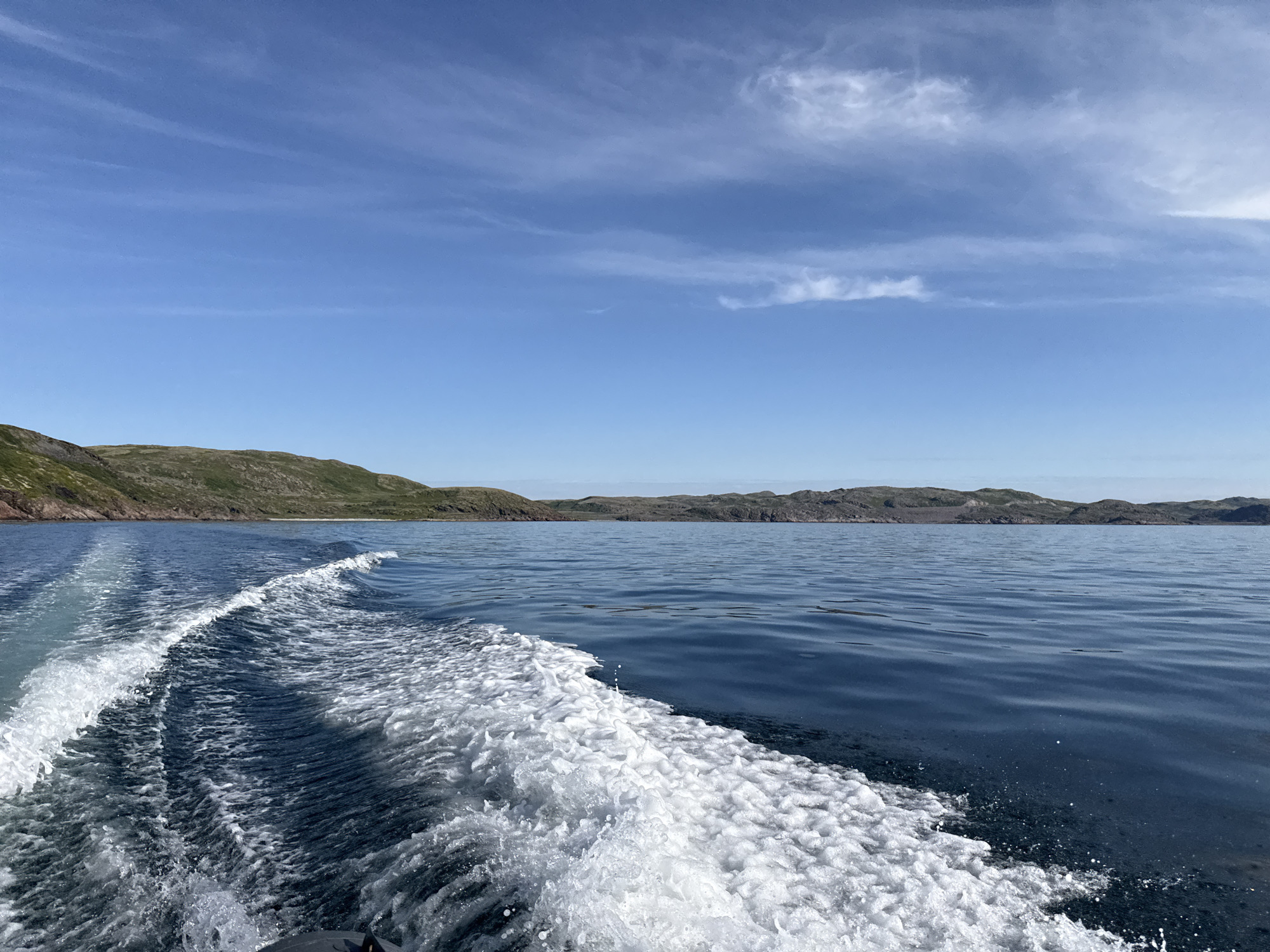 The image depicts a view from a boat moving through the Barents Sea near Teriberka, Russia. The foreground is dominated by a dynamic white wake of foamy water trailing behind the boat, creating a textured surface that transitions into the calmer, deep blue sea. In the mid-ground, the water stretches towards a distant, rocky coastline. The coastline is characterized by undulating, low-lying hills covered in sparse green vegetation and dark rock formations. The sky above is a clear, vibrant blue with scattered, wispy white clouds. The overall scene conveys a sense of open water, a journey, and the rugged, natural landscape of the Arctic coast.