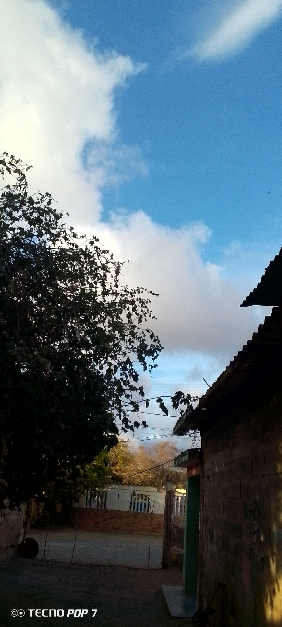The image shows a scene in Altagracia, Venezuela. A large tree with dark green foliage occupies the left side of the frame. The sky above is partly cloudy with patches of blue. To the right, a brick building with a tiled roof is visible. In the background, there is a fenced-off area with a building. The ground is dirt. The lower-left corner has the words "TECNO POP 7".