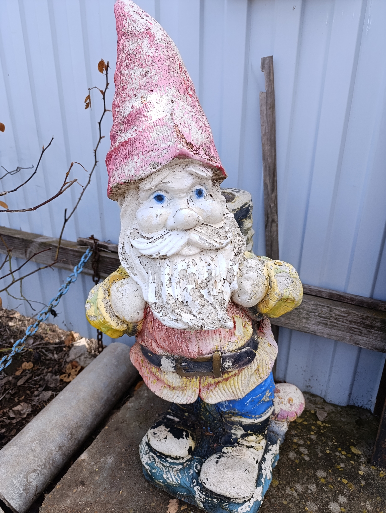 A weathered, painted garden gnome statue stands outdoors. It has a pink and white striped pointed hat, blue eyes, a white beard and mustache. It wears a red and white shirt, yellow sleeves, blue pants and black and white shoes. There is a black belt with a gold buckle around its waist. The statue is on a concrete surface, near some fallen leaves and debris. Behind the statue is a pale blue corrugated metal fence and a wooden board leaning against the fence. A chain is visible on the left side of the image. The location is Уральский, Russia.