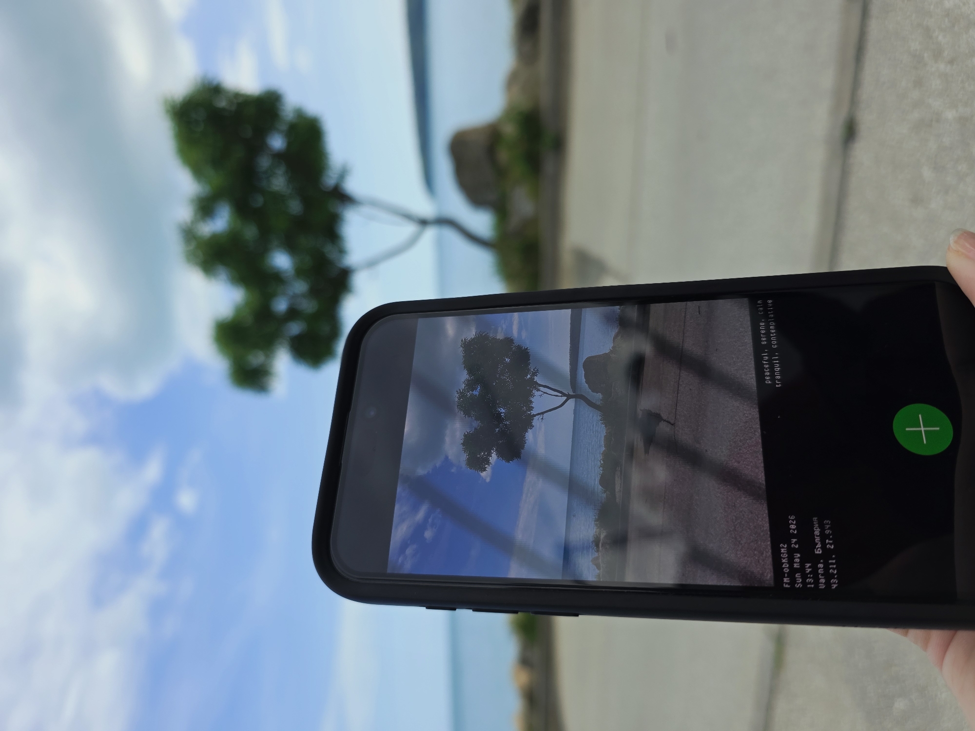 A person holds a smartphone displaying a photograph of a tree against a blue sky and sea background. The real-life backdrop visible behind the phone is similar to the scene depicted in the photo, featuring a tree and a seascape. The phone's screen also shows date and location information: "FM-obK6M2 Sun May 24 2026 13:44 Varna, България 43.211, 27.943." It also shows keywords "peaceful, serene, calm, tranquil, contemplative." A green plus sign is visible on the right side of the screen. The location is Varna, Bulgaria.