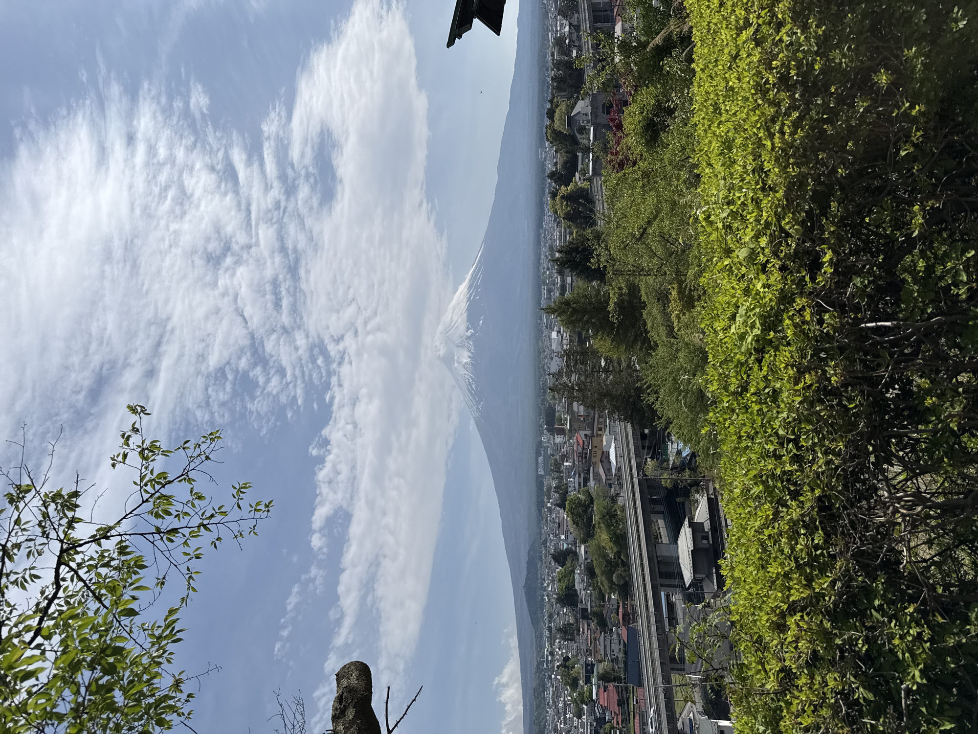 The image presents an elevated panoramic view of Fujiyoshida, Japan, with the majestic Mount Fuji dominating the distant background. The iconic snow-capped peak of Mount Fuji is clearly visible, rising under a bright blue sky partially adorned with scattered white, wispy clouds.
In the midground, the town of Fujiyoshida stretches out, densely populated with numerous residential and commercial buildings featuring various rooftops. A prominent double-track railway line runs horizontally through the town, cutting across the landscape. The foreground is lush with vibrant green foliage, including dense bushes and trees with fresh leaves, framing the scene. Bare tree branches and a section of a tree trunk are also visible in the lower left and center foreground. A dark, angular structure, possibly part of a traditional building's roof, can be seen in the upper right portion of the frame.
The bright illumination suggests it is daytime, likely morning or afternoon, with clear weather and good visibility for Mount Fuji. There is no explicit activity depicted, making it a static landscape photograph. No visible text is present in the image. The scene conveys a blend of urban settlement nestled amidst natural beauty, overlooked by the grandeur of Mount Fuji.