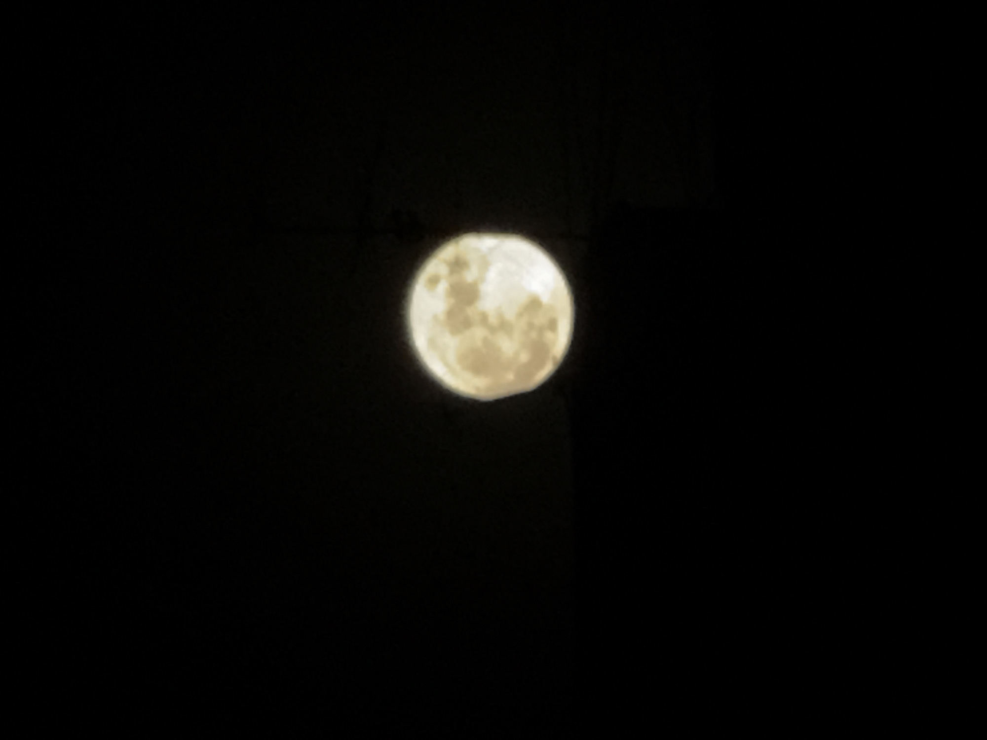 A full moon is centered in a dark, featureless sky. The surface of the moon shows variations in color and texture.